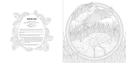 Animals: A Smithsonian Coloring Book Box Set, Smithsonian Institution, Excellent