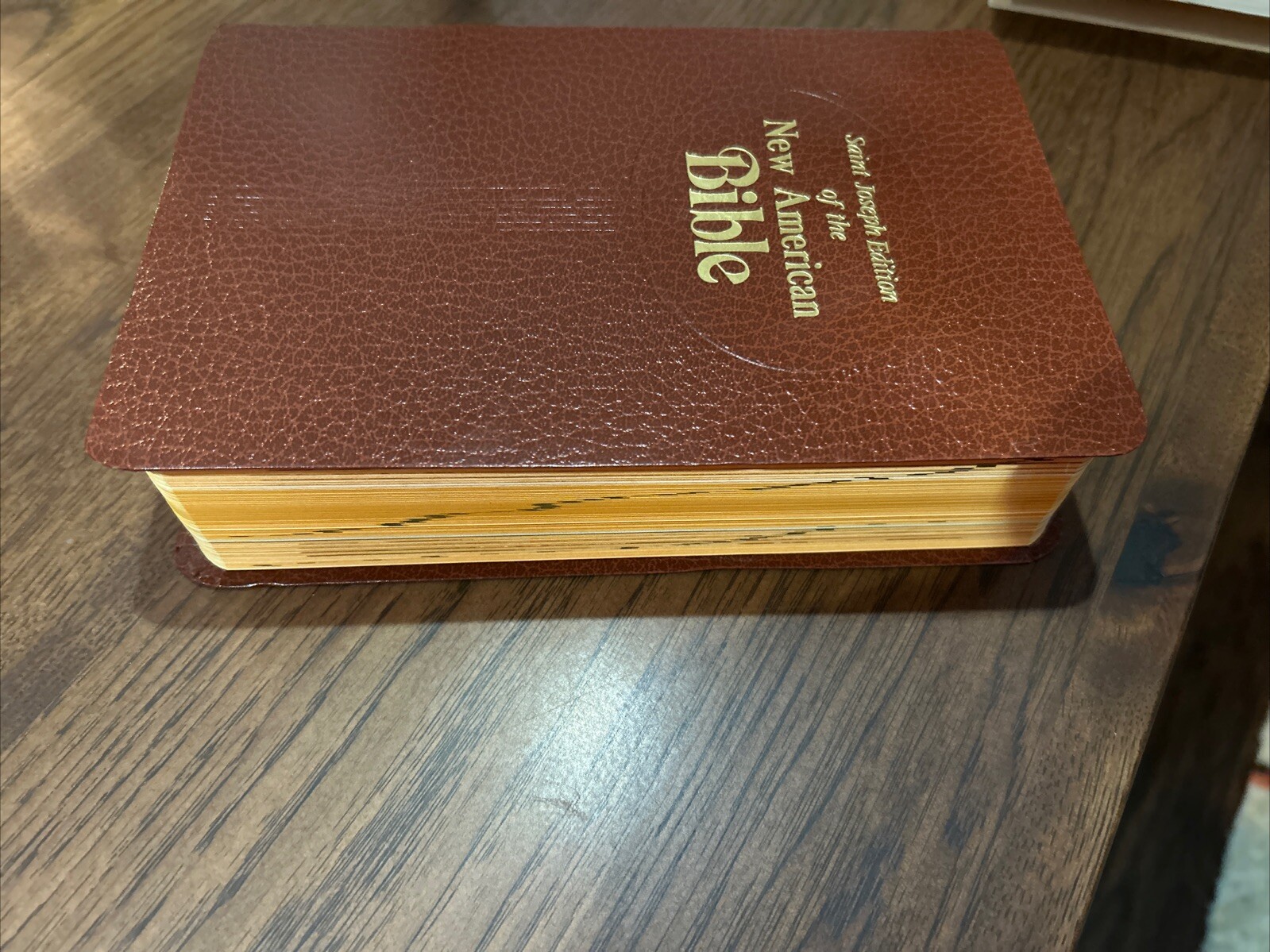 Brand NEW American Bible St. Joseph Ed. Illustrated Medium Leather Bound (1992)