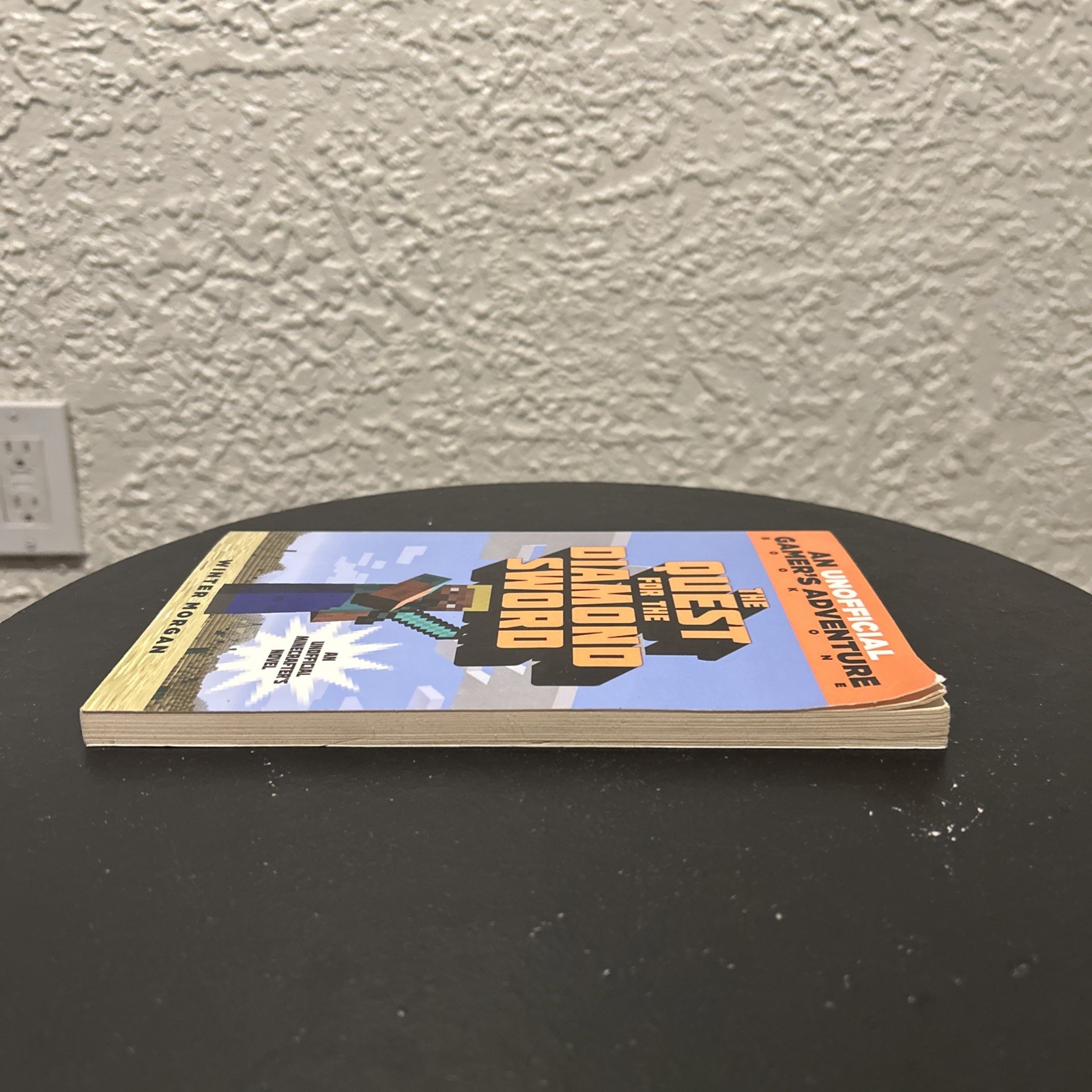 The Quest for the Diamond Sword: An Unofficial GamerÂ?s Adventu – GOOD