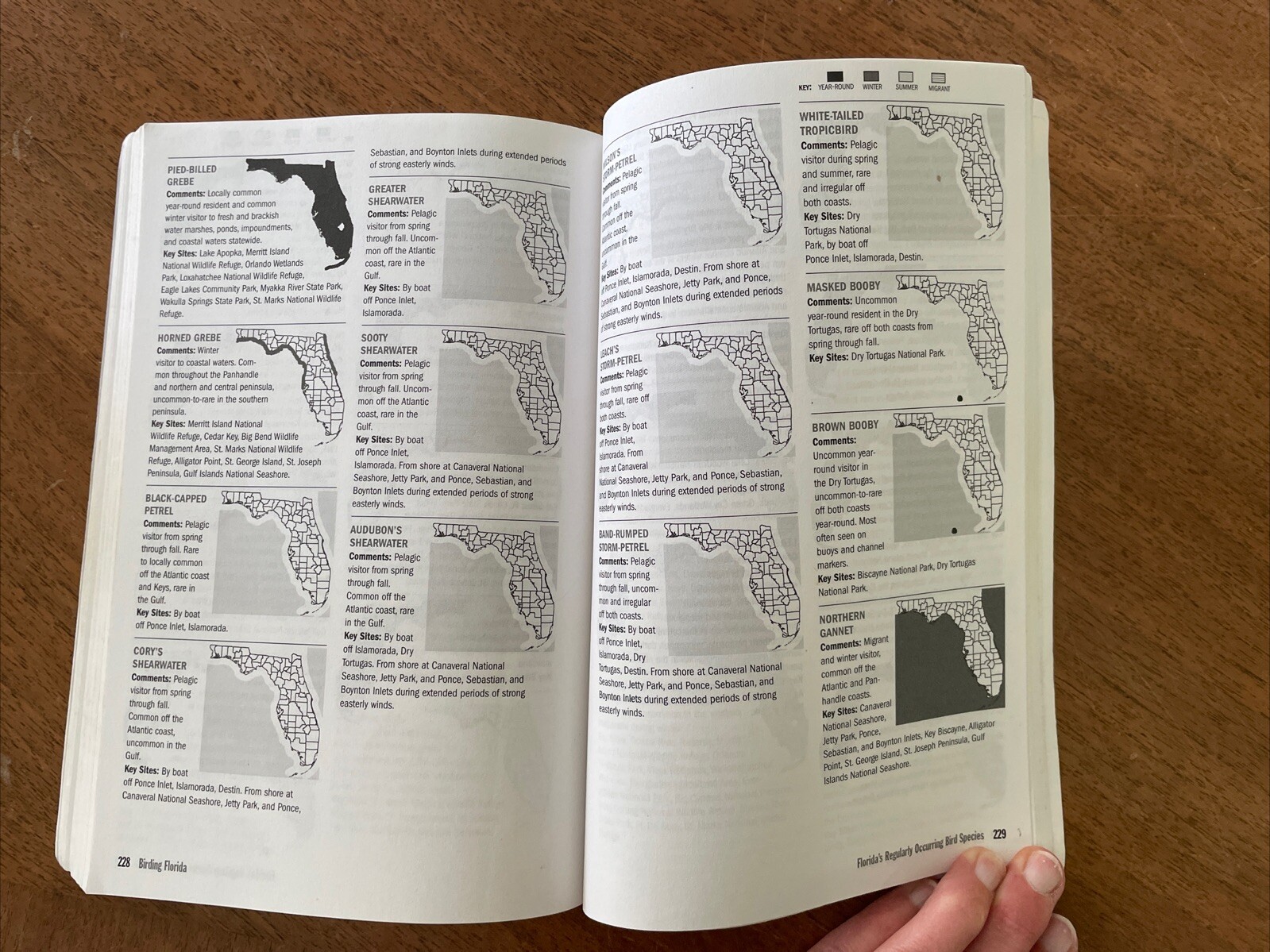Birding Florida: More Than 200 Prime Birding Sites in 54 Locations PB 2007
