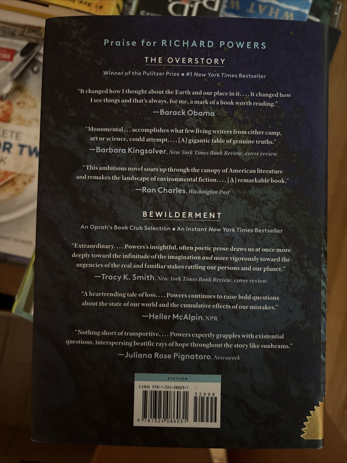 Playground by Richard Powers (2024, Hardcover)