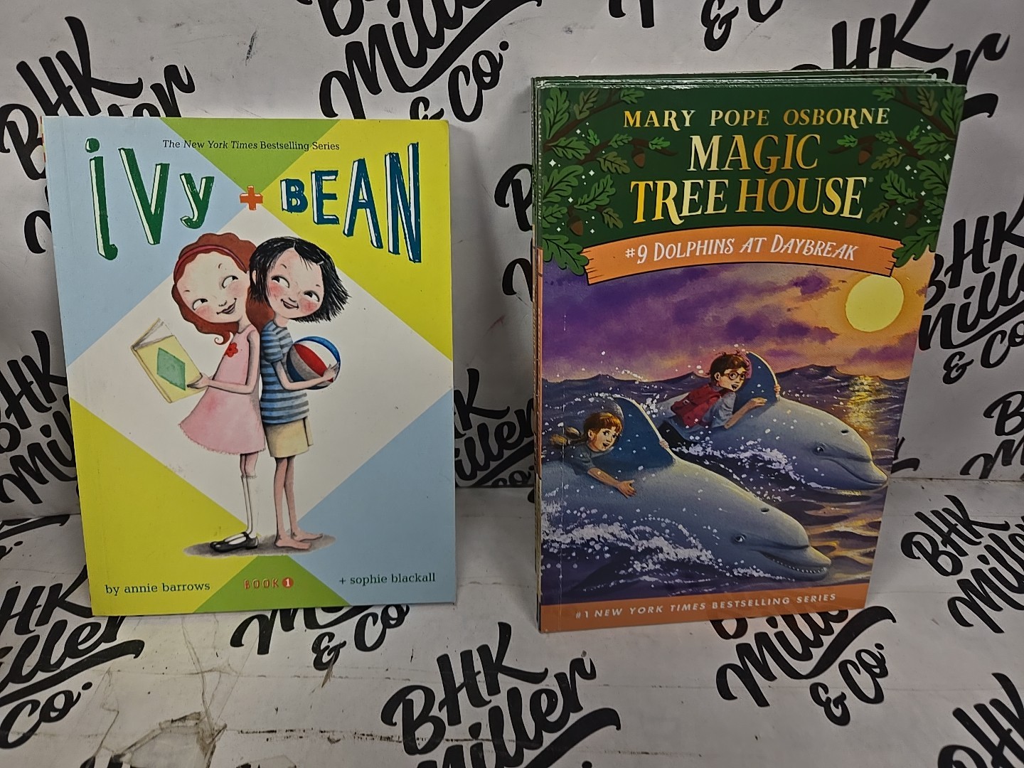 Magic Tree House & Ivy & Bean Chapter Book Lot of 22 Early Reader Books Ages 6-9