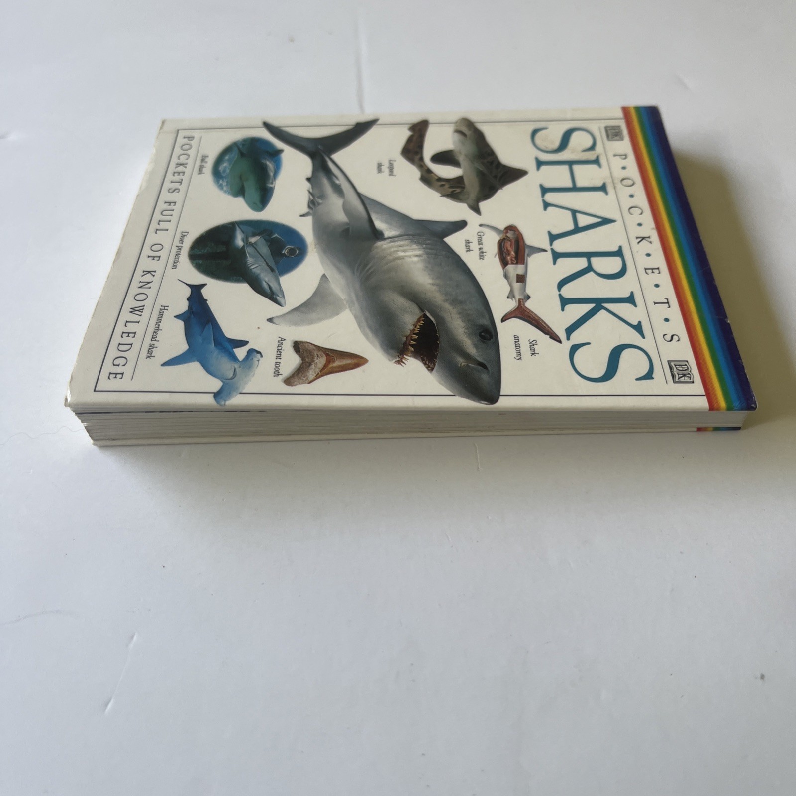 SHARKS DK Pockets Book📕Sharks by DK publishing Pockets Full Of Knowledge