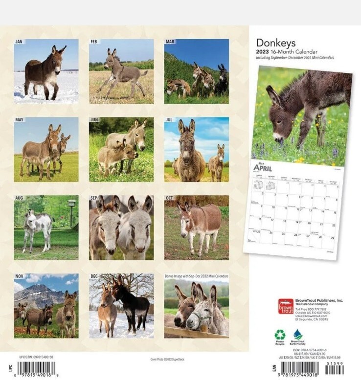 BROWN TROUT, DONKEY’S 2023 SQUARE WALL CALENDAR NEW FARM ANIMAL