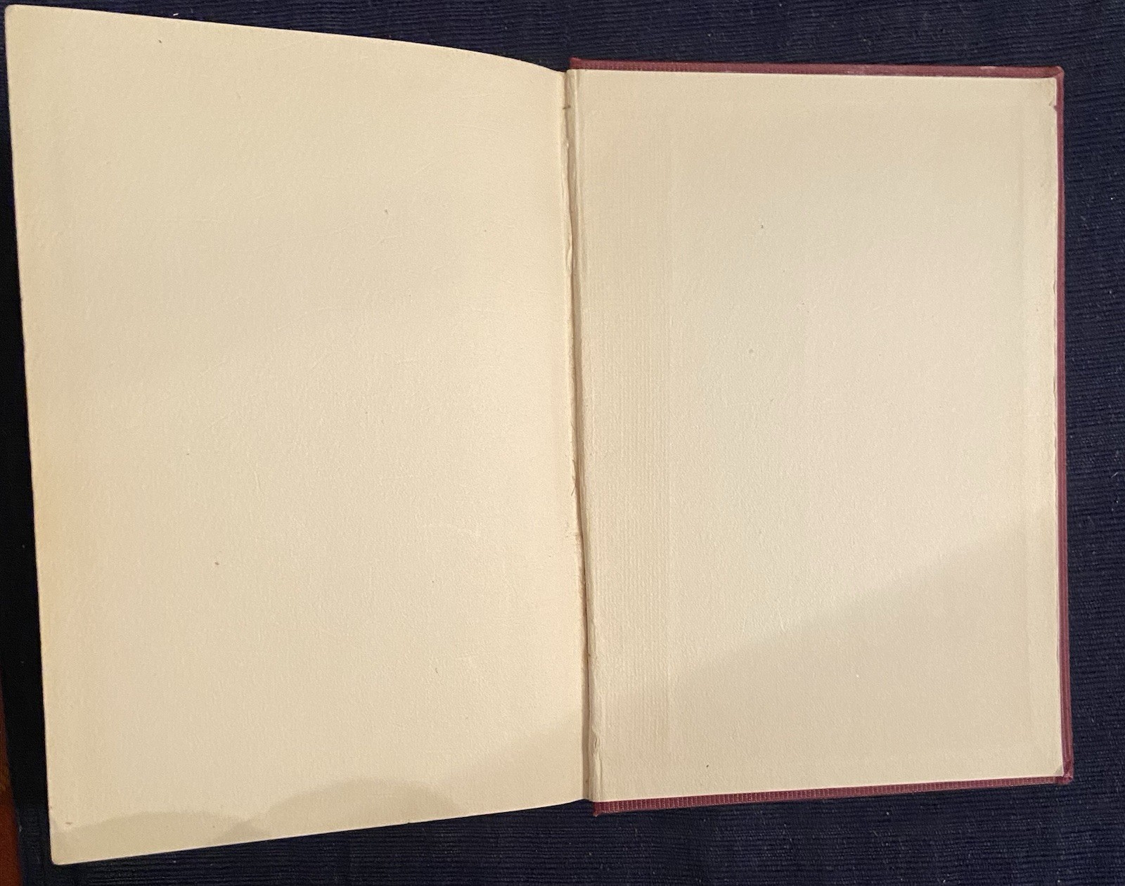 Impaired Health Cause & Cure Tilden 1921 Vol 2 Natural Hygiene NHA Naturopathy