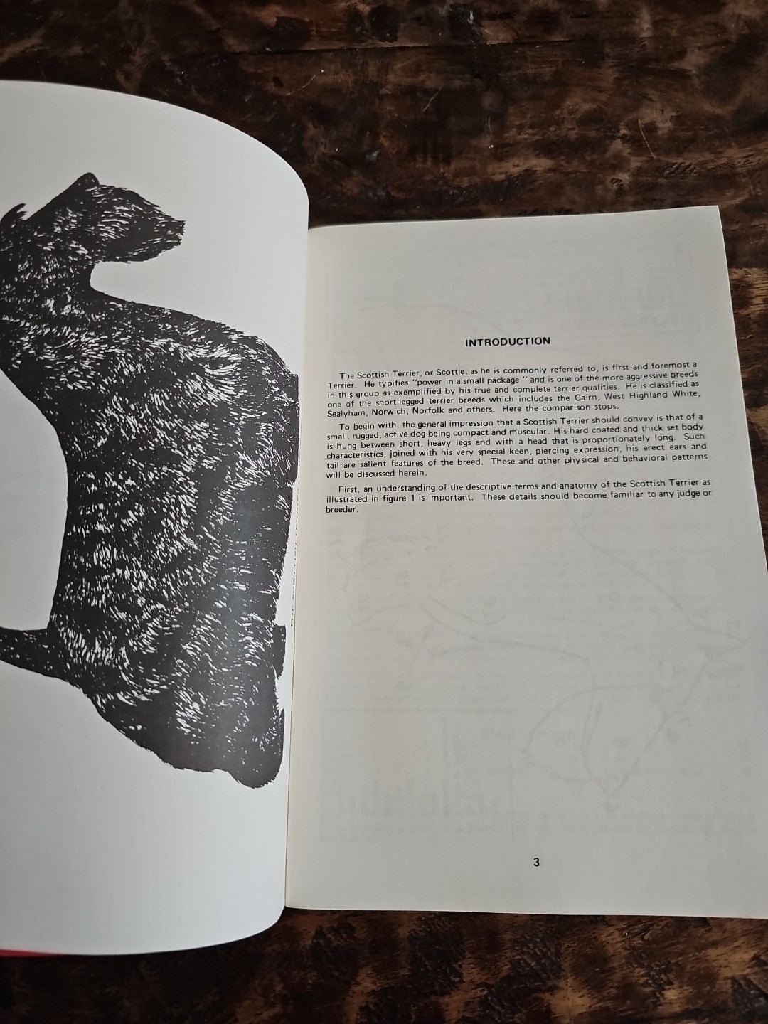1985 STCA Scottish Terrier Standard Illustrated Lori Bush Judge Packet
