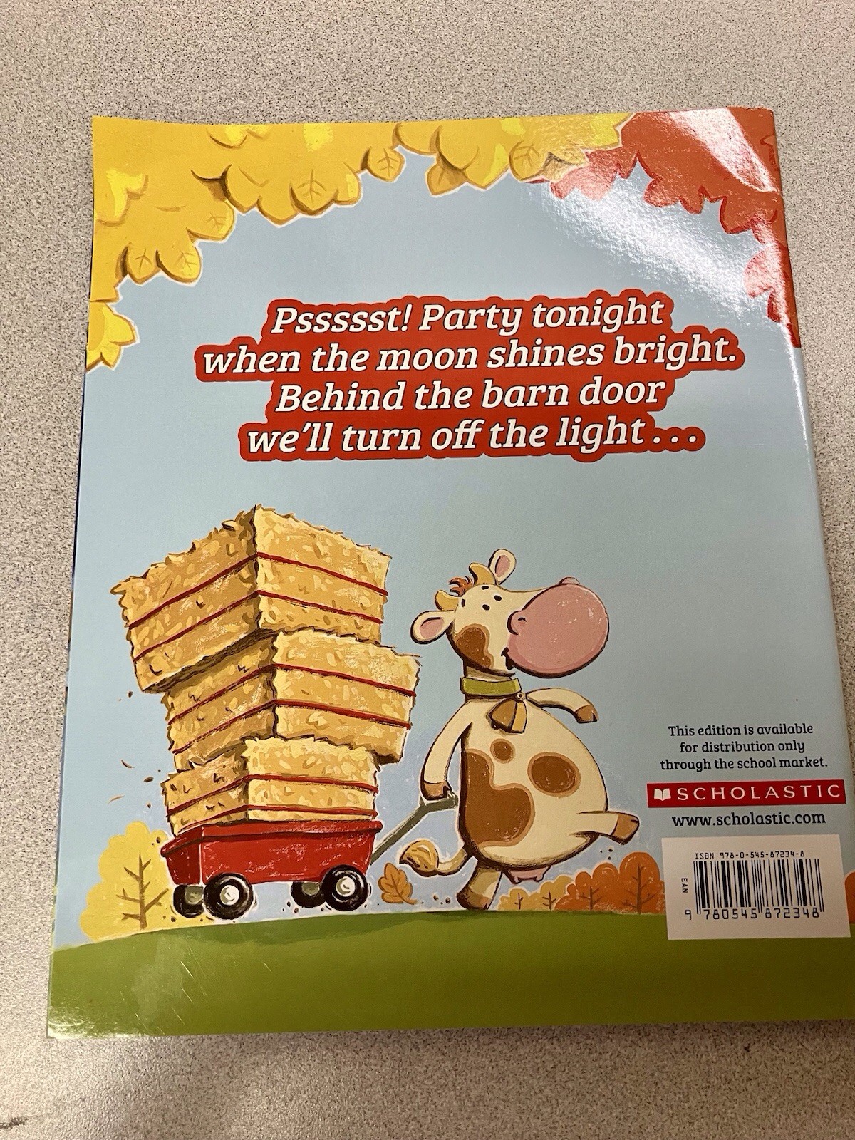 Lot of 10+. Children’s Paperback BOOKS *RANDOM MIX*