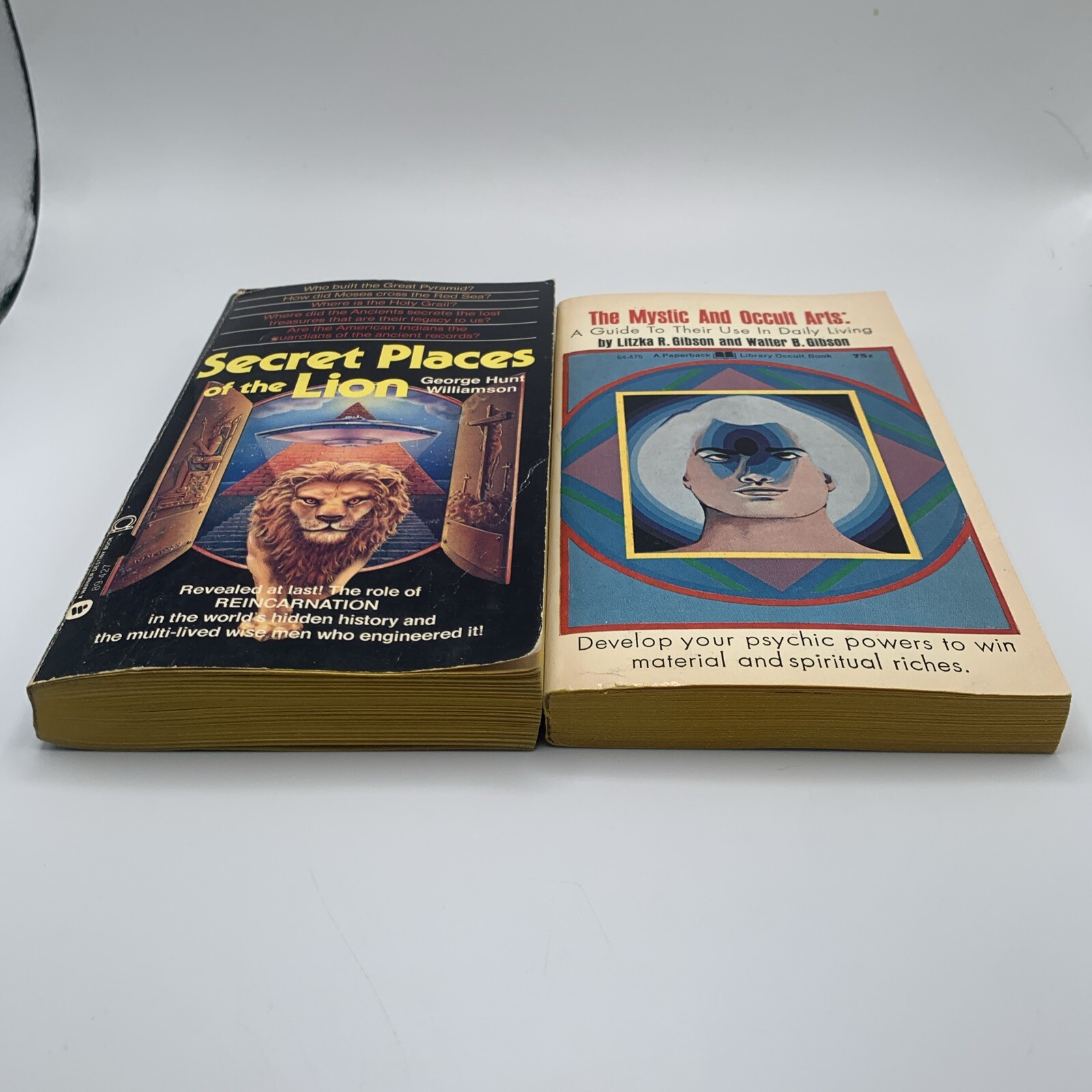 The Mystic and Occult Arts Guide Litzka Gibson 1969 Secret Places Williamson 1st