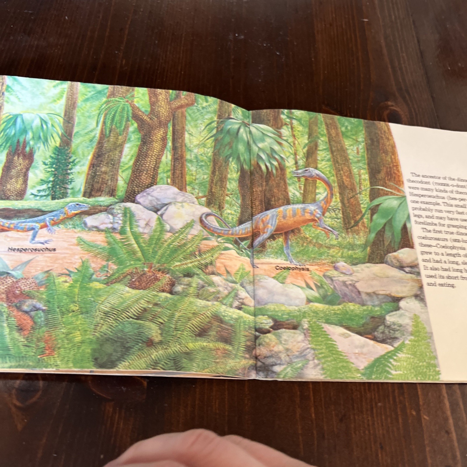 Dinosaurs by Peter Zallinger (1977 Paperback)
