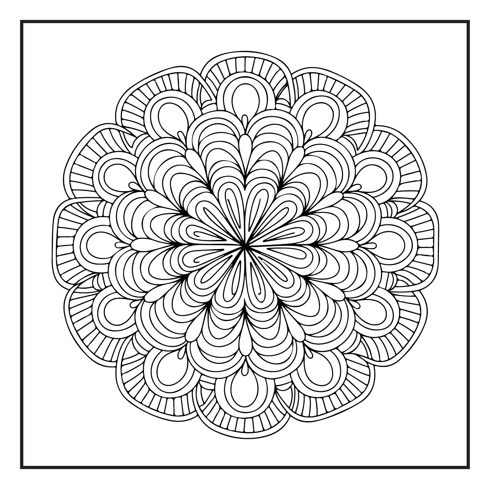 Rockridge Press Mindfulness Mandalas Coloring Book Spiral Bound Coloring Book