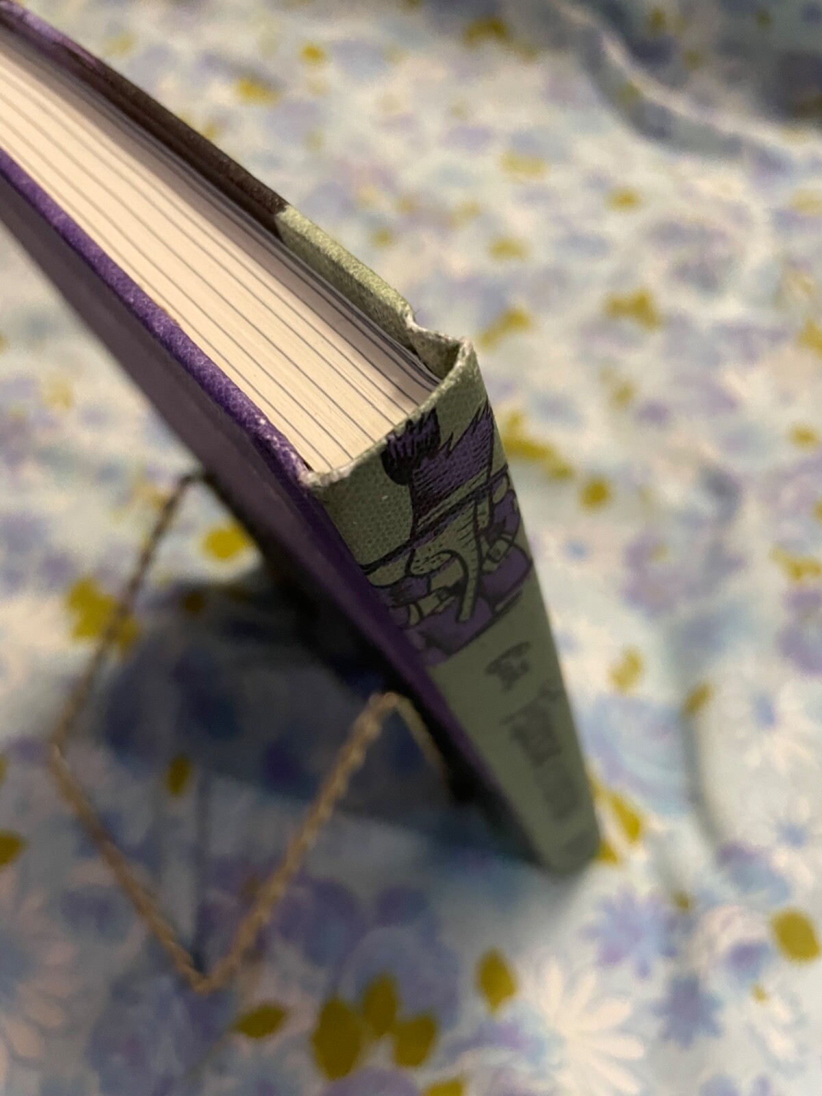 BOOK Friends is Friends Greg Cook First Edition 2016 Graphic Novel Roaring Brook