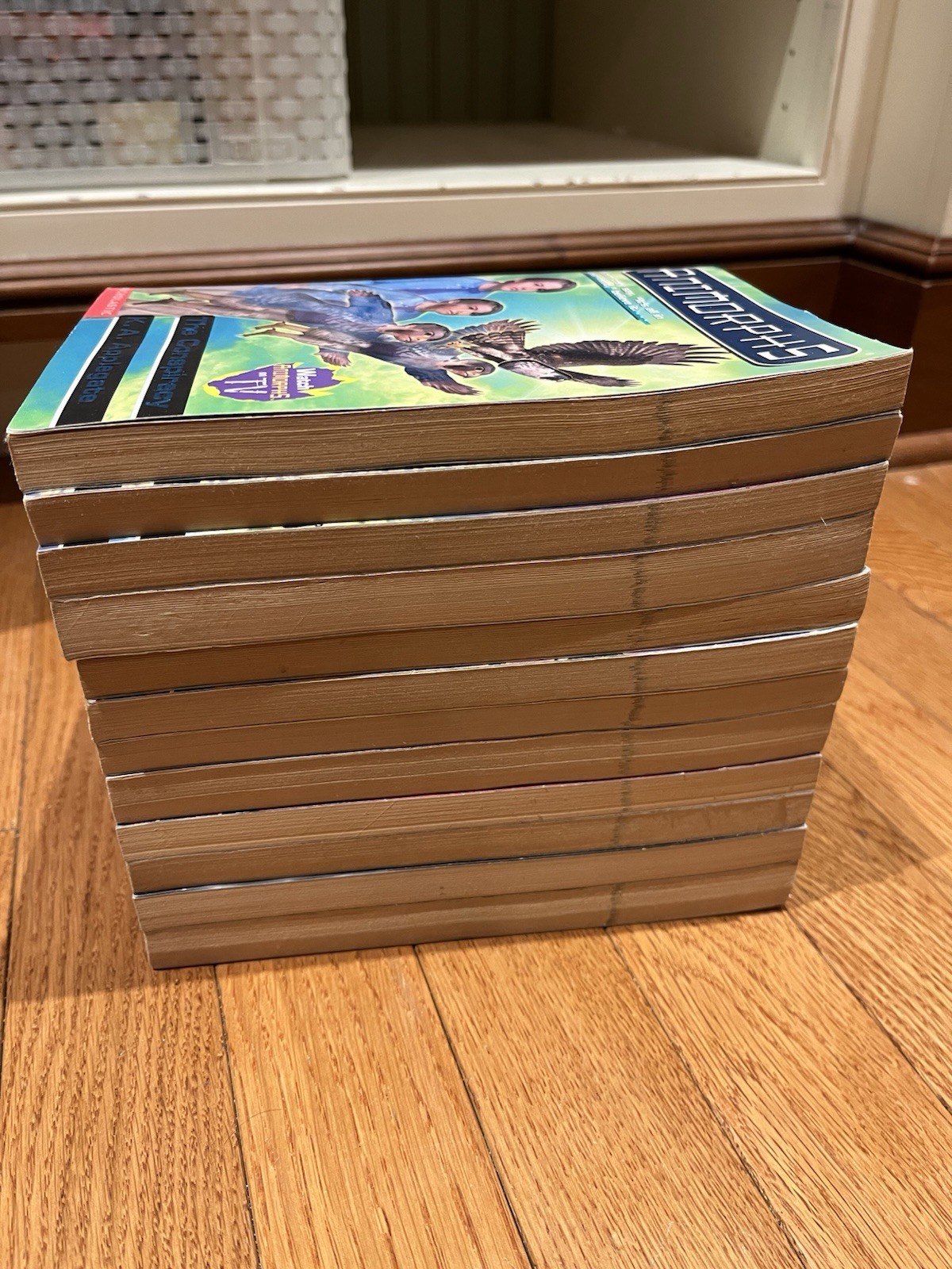Lot of 12 Animorphs Paperback Books K.A. Applegate Megamorphs Vintage