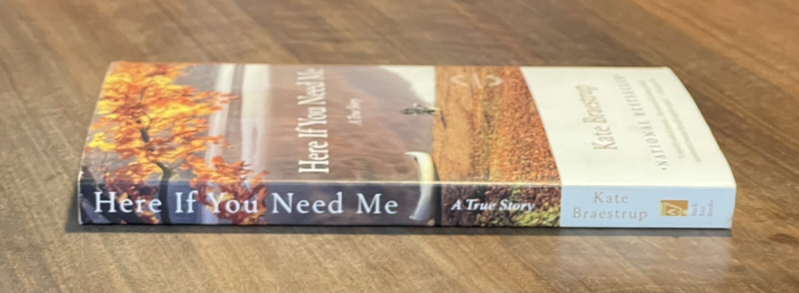Here If You Need Me: A True Story by Kate Braestrup (2008, Trade Paperback)