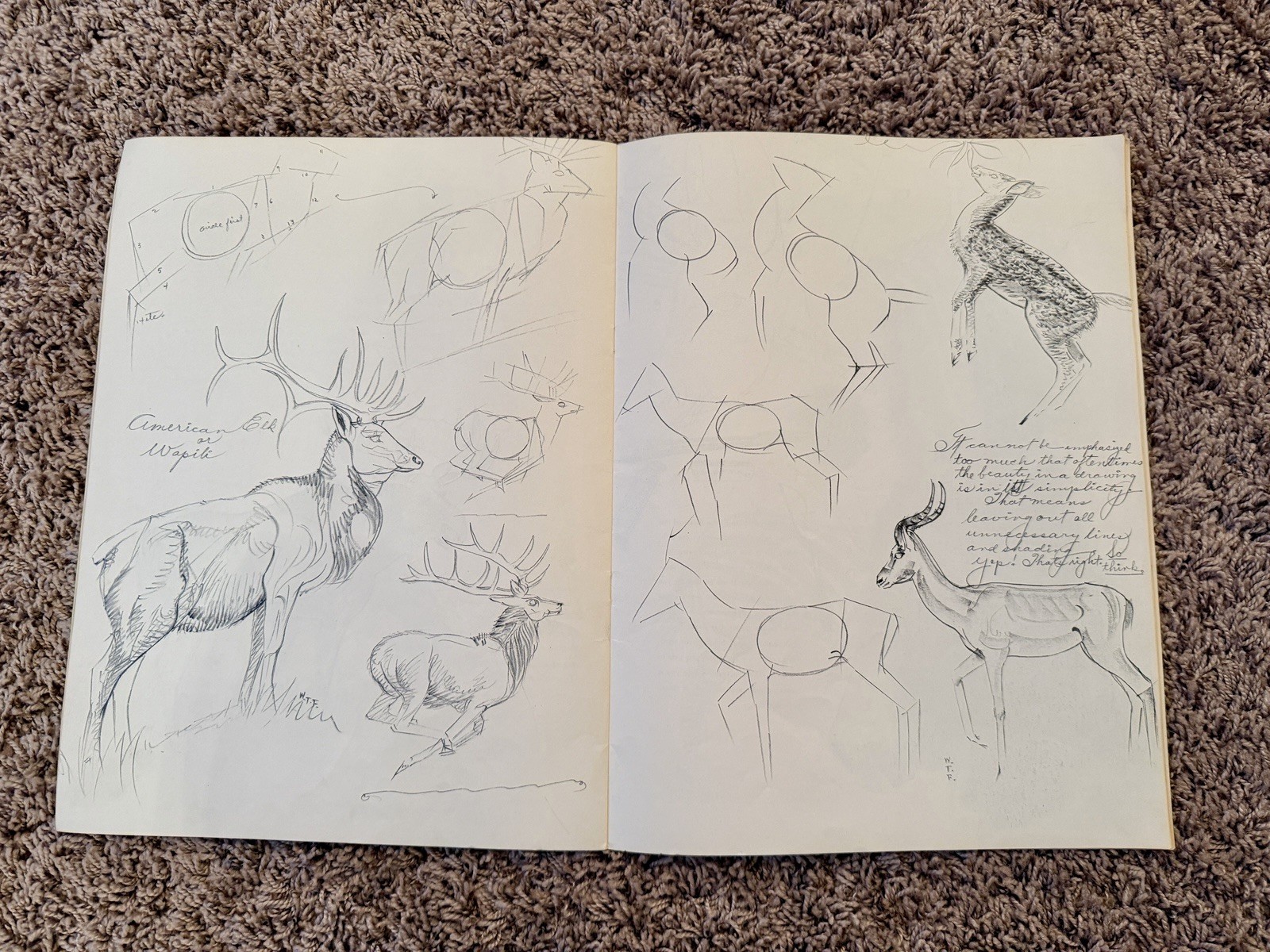 Vintage How to Draw Animals By Walter T Foster Art Instruction Book
