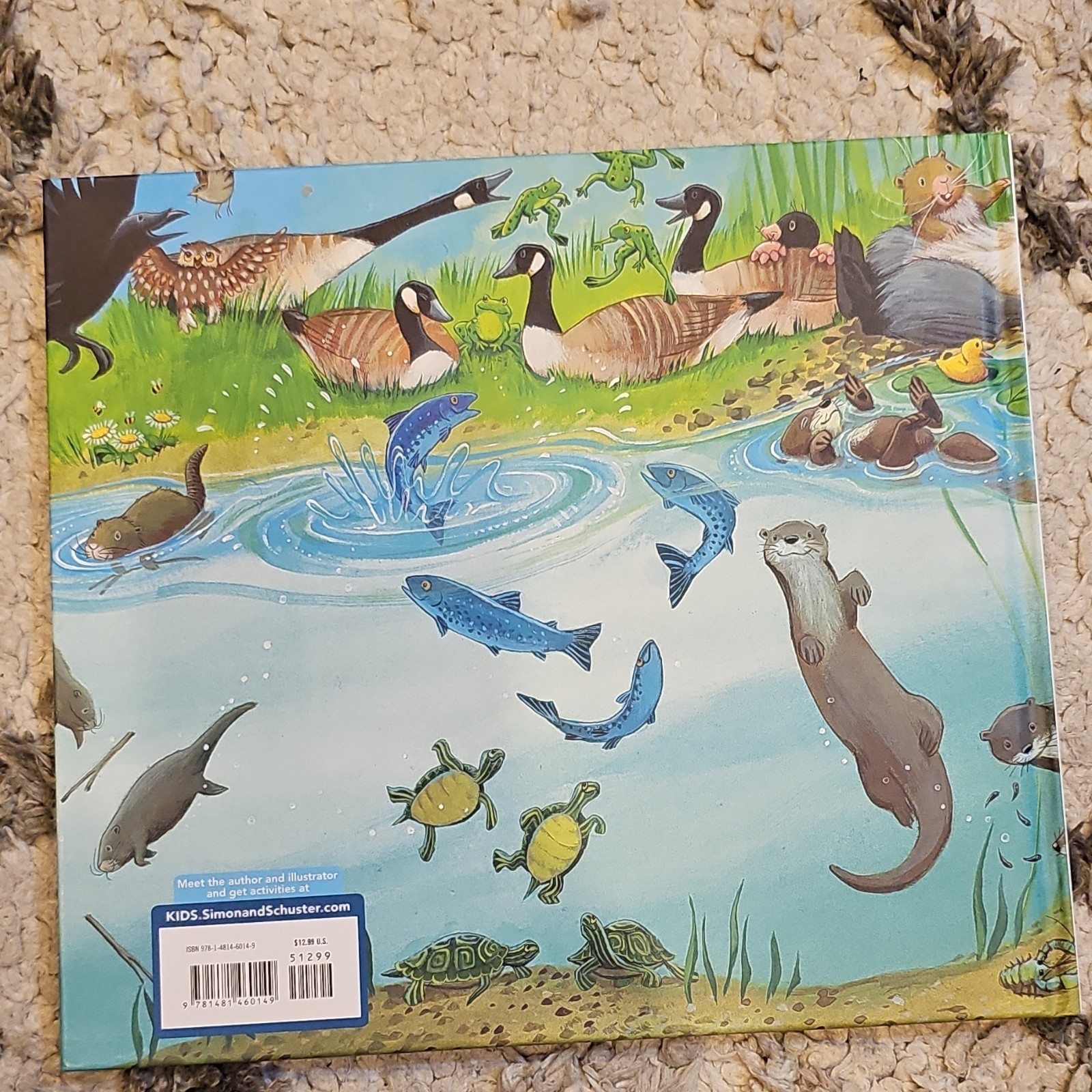 Counting Board Books Lot: My Book of Counting, Bear Counts, Eight Silly Monkeys