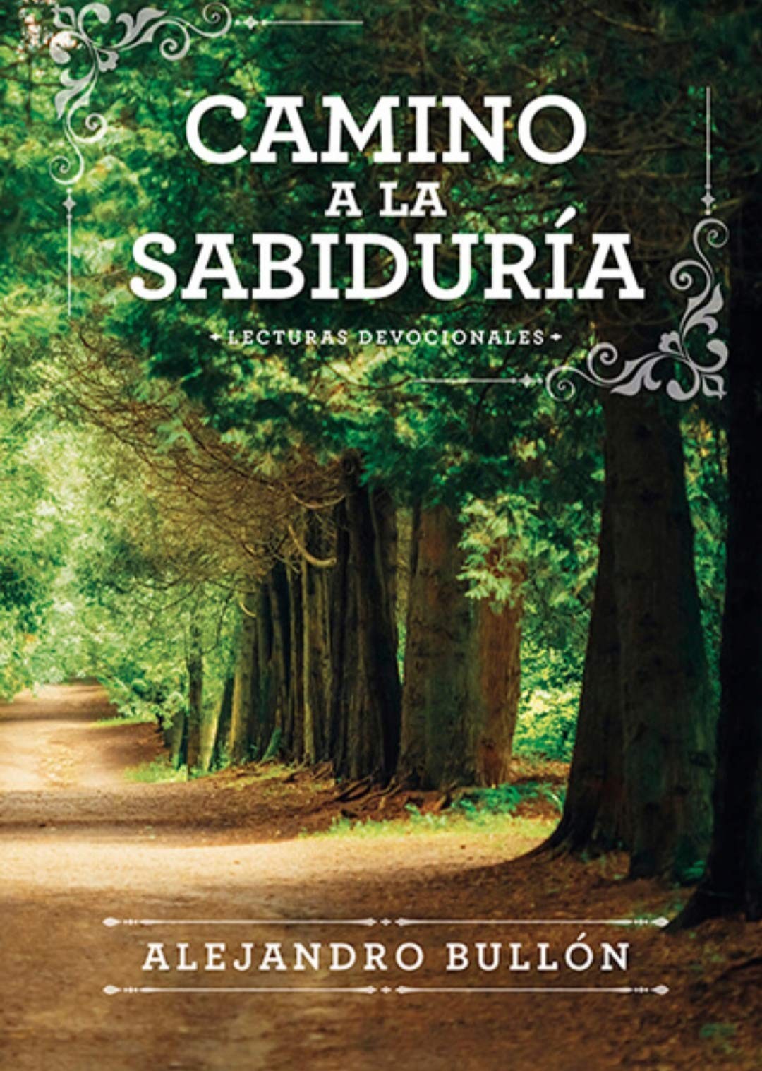 Camino a La Sabiduria – hardcover Bullon, Alejandro