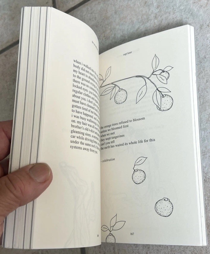 THE SUN AND HER FLOWERS BY RUPI KAUR