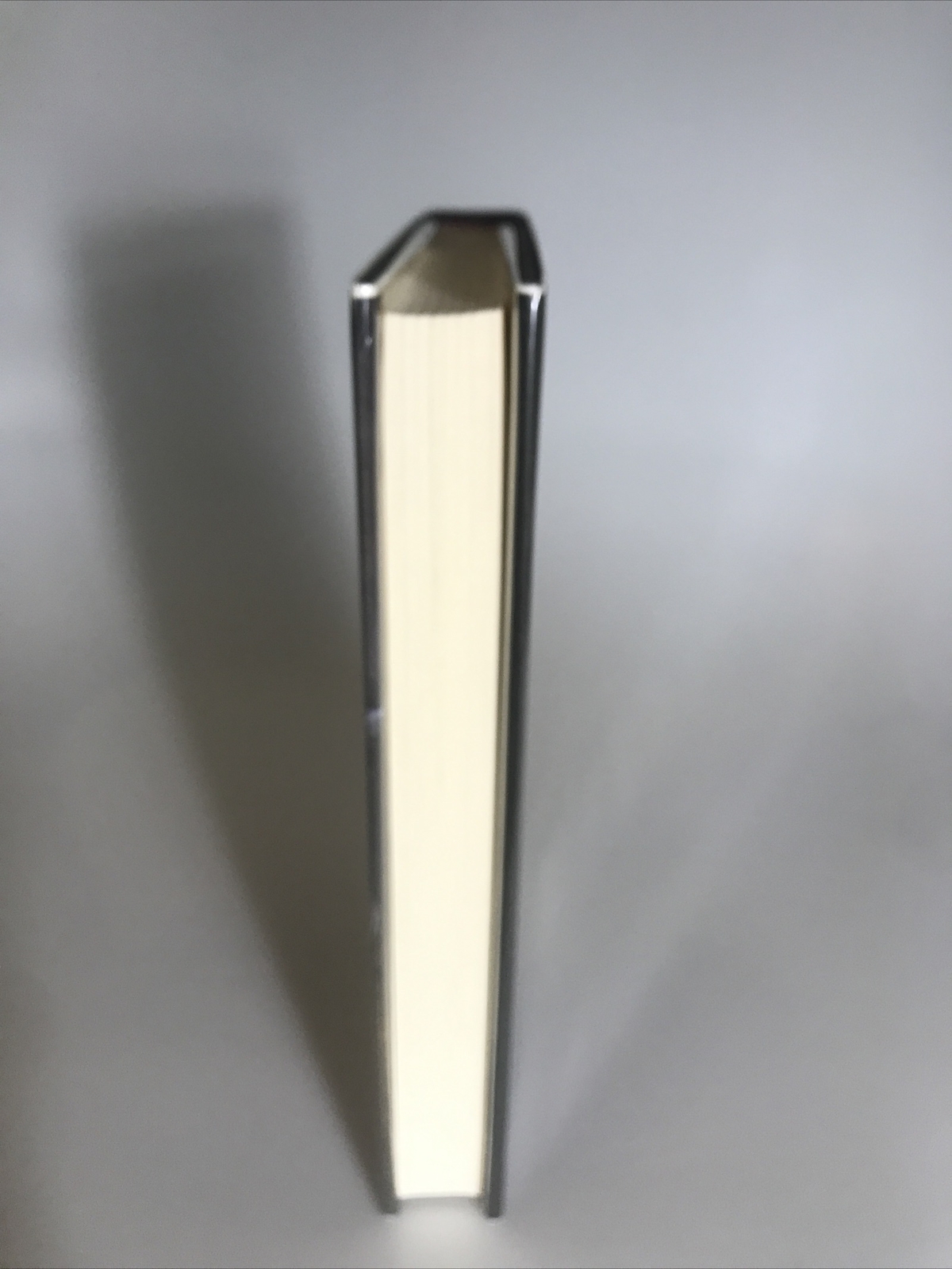 Blood Stone: Allegretto, Michael Hardcover 1st