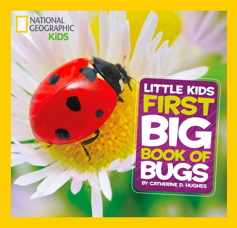 Little Kids First Big Book of Bugs by Catherine D. Hughes (English) Hardcover Bo