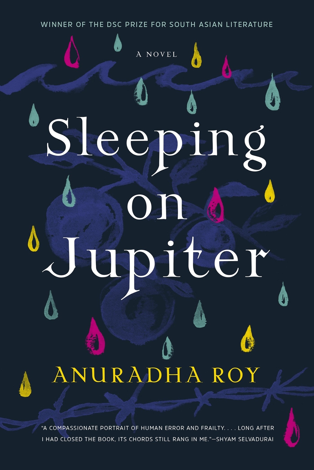 Sleeping on Jupiter: A Novel – Roy, Anuradha – Paperback – Good
