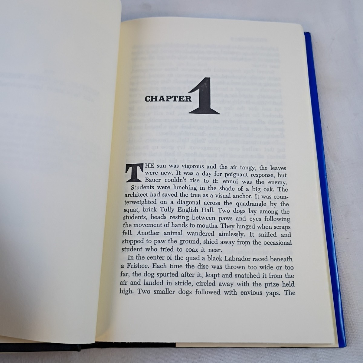 The Dogs by Robert Calder 1976 Hardcover Delacorte Press Vintage