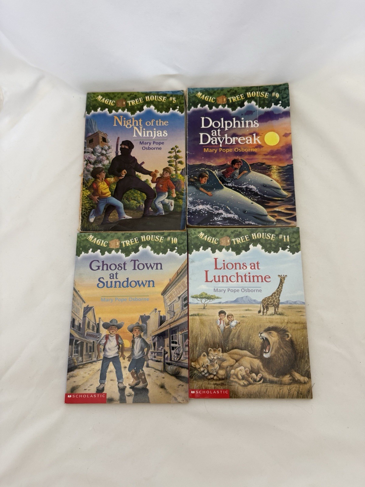 Magic Tree House Lot of 35 Books See Pics For Titles/condition Mary Pipe Osborne