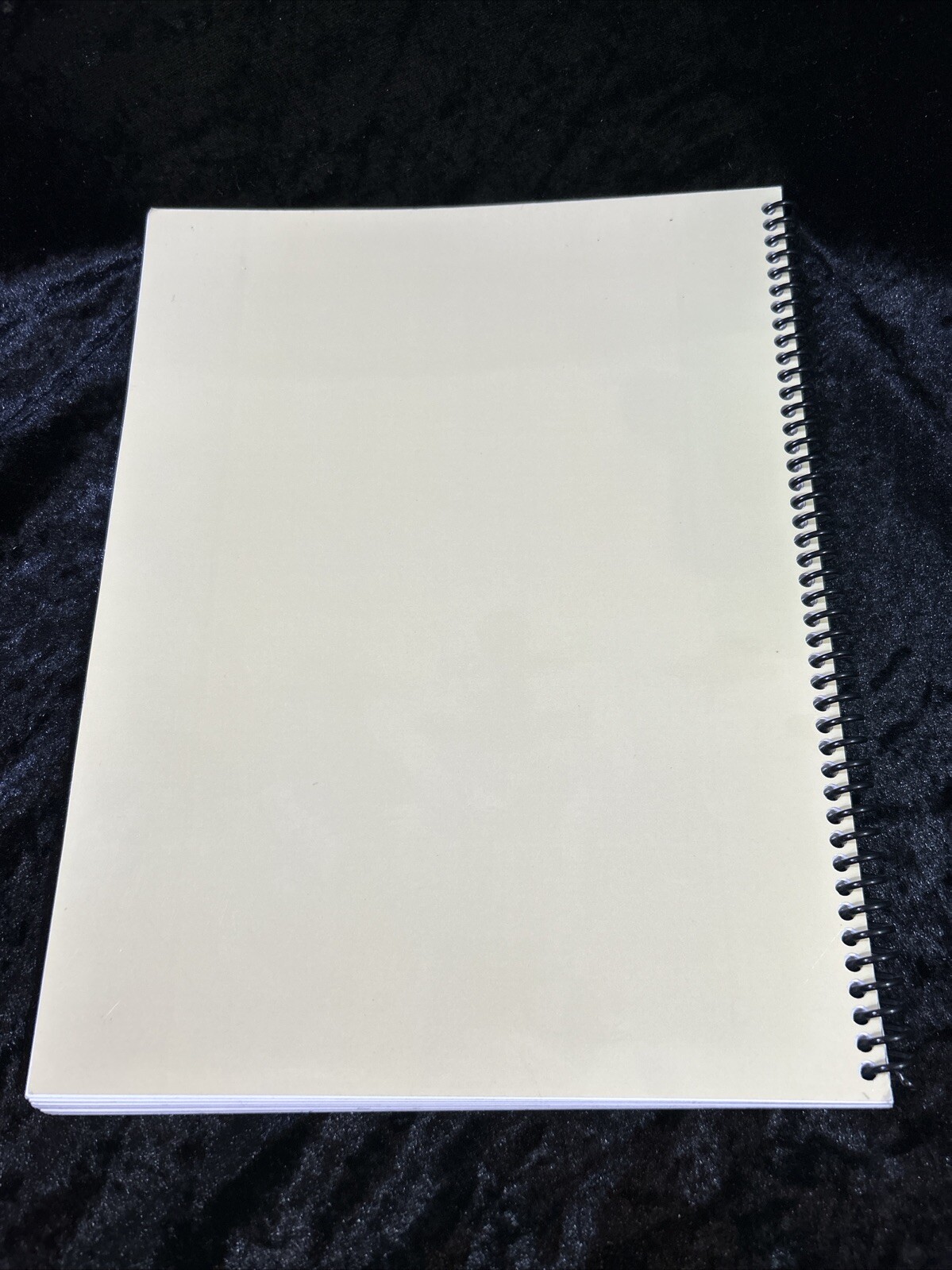 Backyard Gourmet cookbook – 2013 spiral bound p/b – Faulkner Co library Arkansas