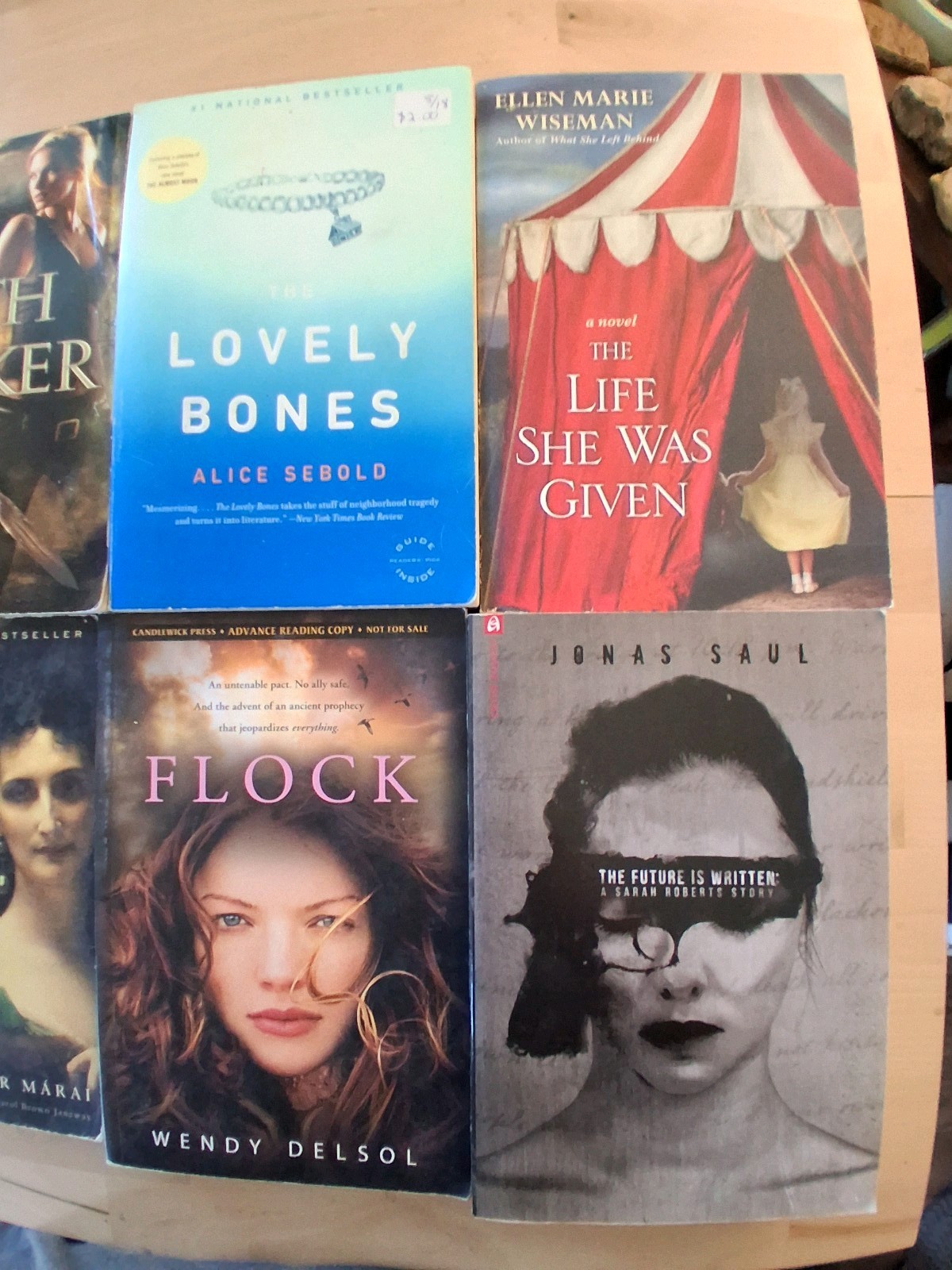 Lot Of 10 Miscellaneous Used Paperback Fiction Novels