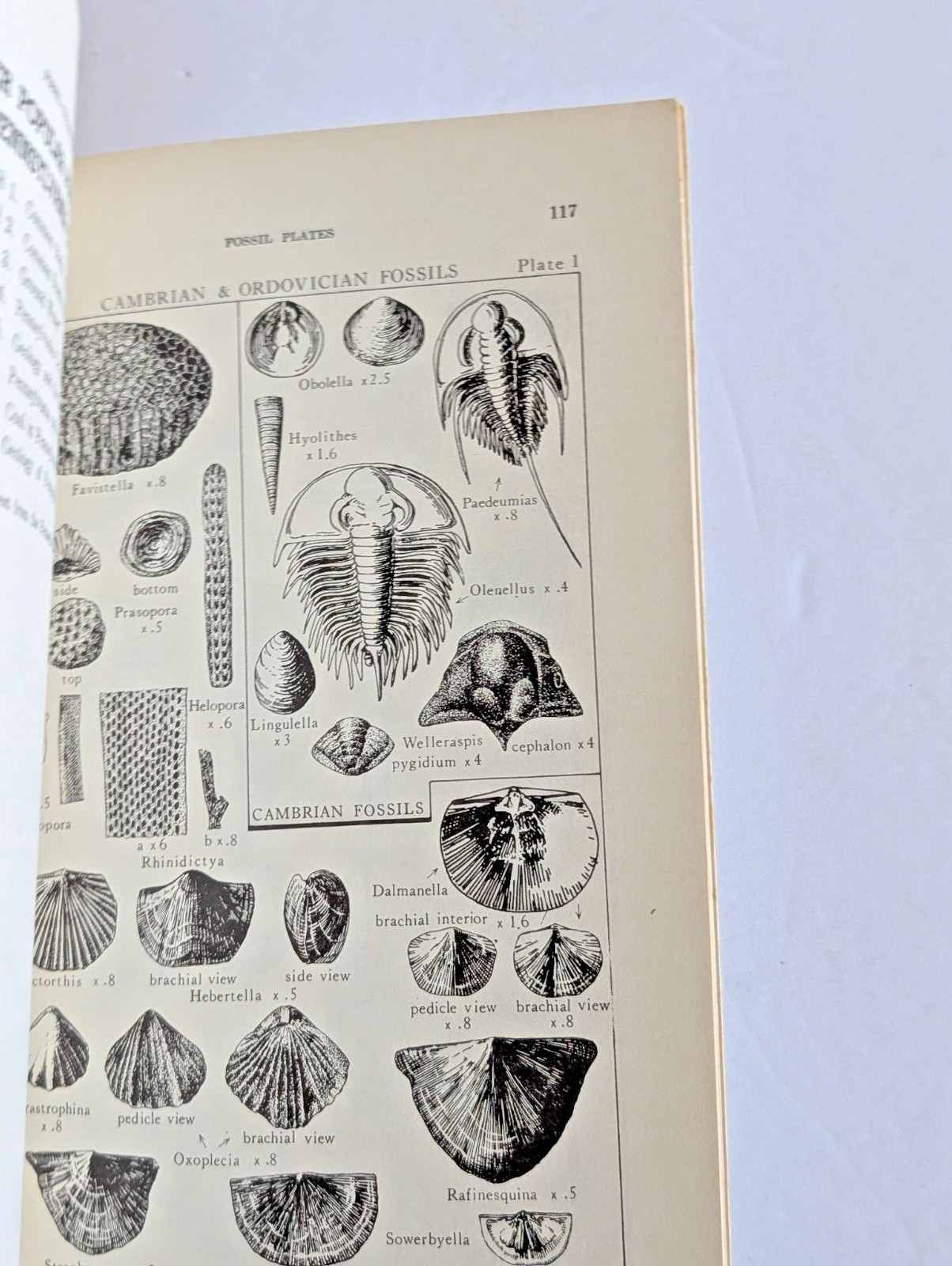 Fossil Collecting in Pennsylvania by Donald M. Hoskins 4th Printing 1976 w/ Map