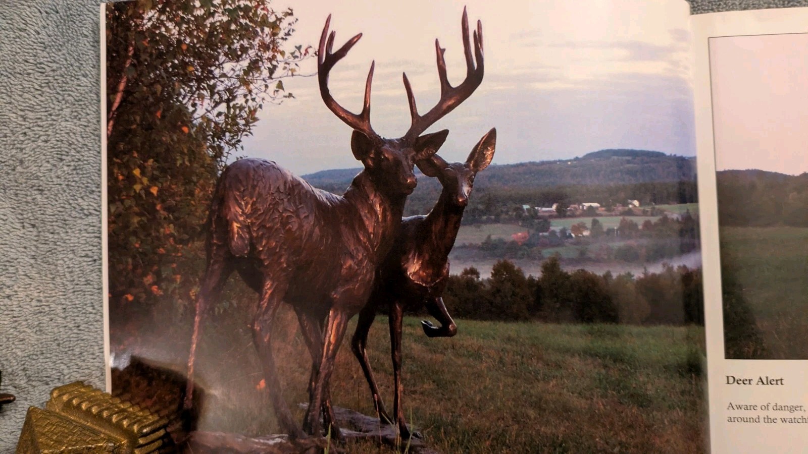 Forest Hart, WILDLIFE IN BRONZE, 204, PB, Art, Sculpture, Animals, 111 Pages