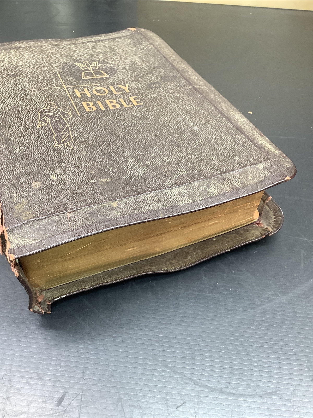 The Catholic Press Family Edition of the Holy Bible 1950 John P O’Connell