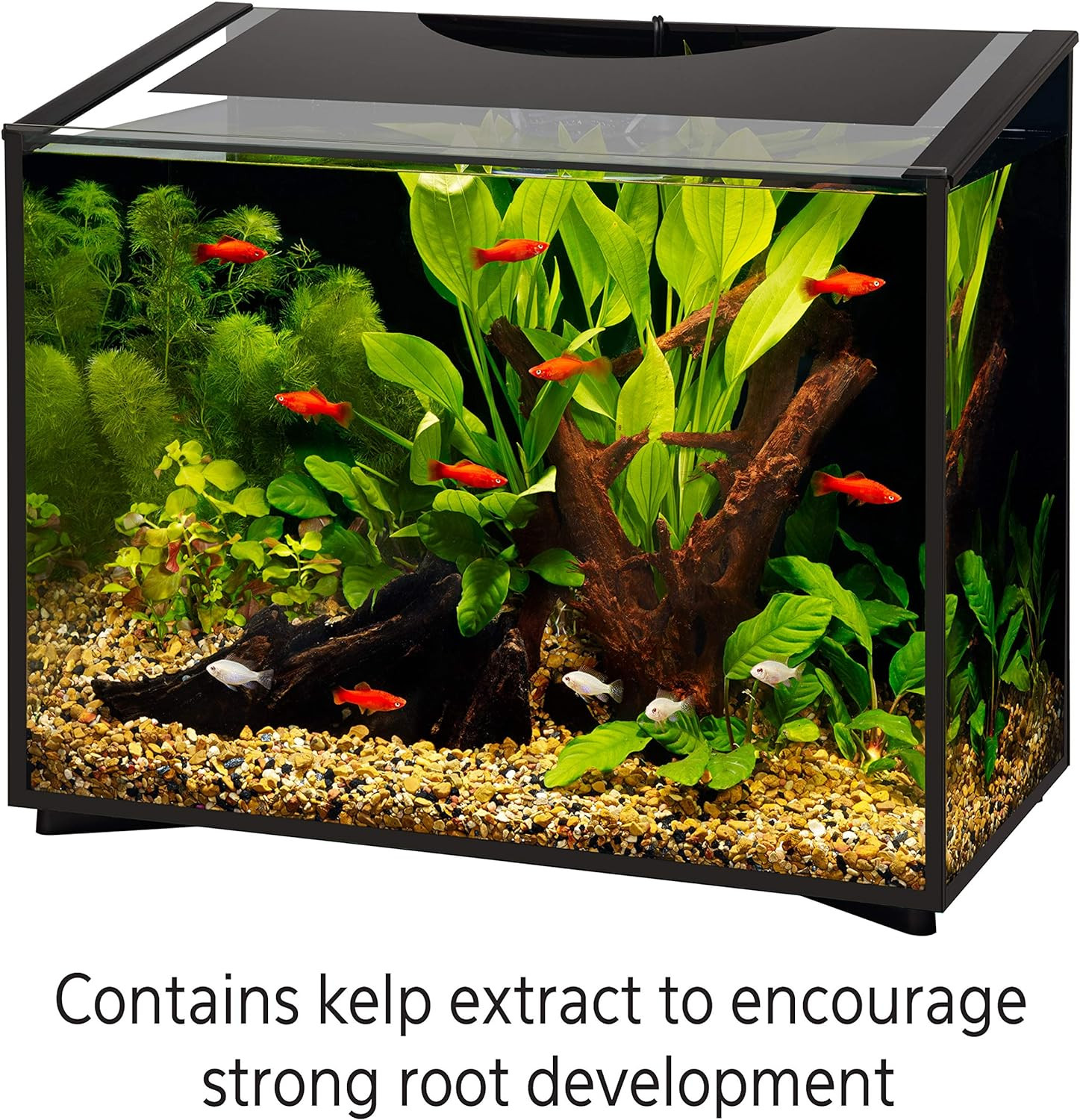 Aqueon Fish Tank Aquarium Plant Food, 17.4 oz Fl Oz (Pack of 1)