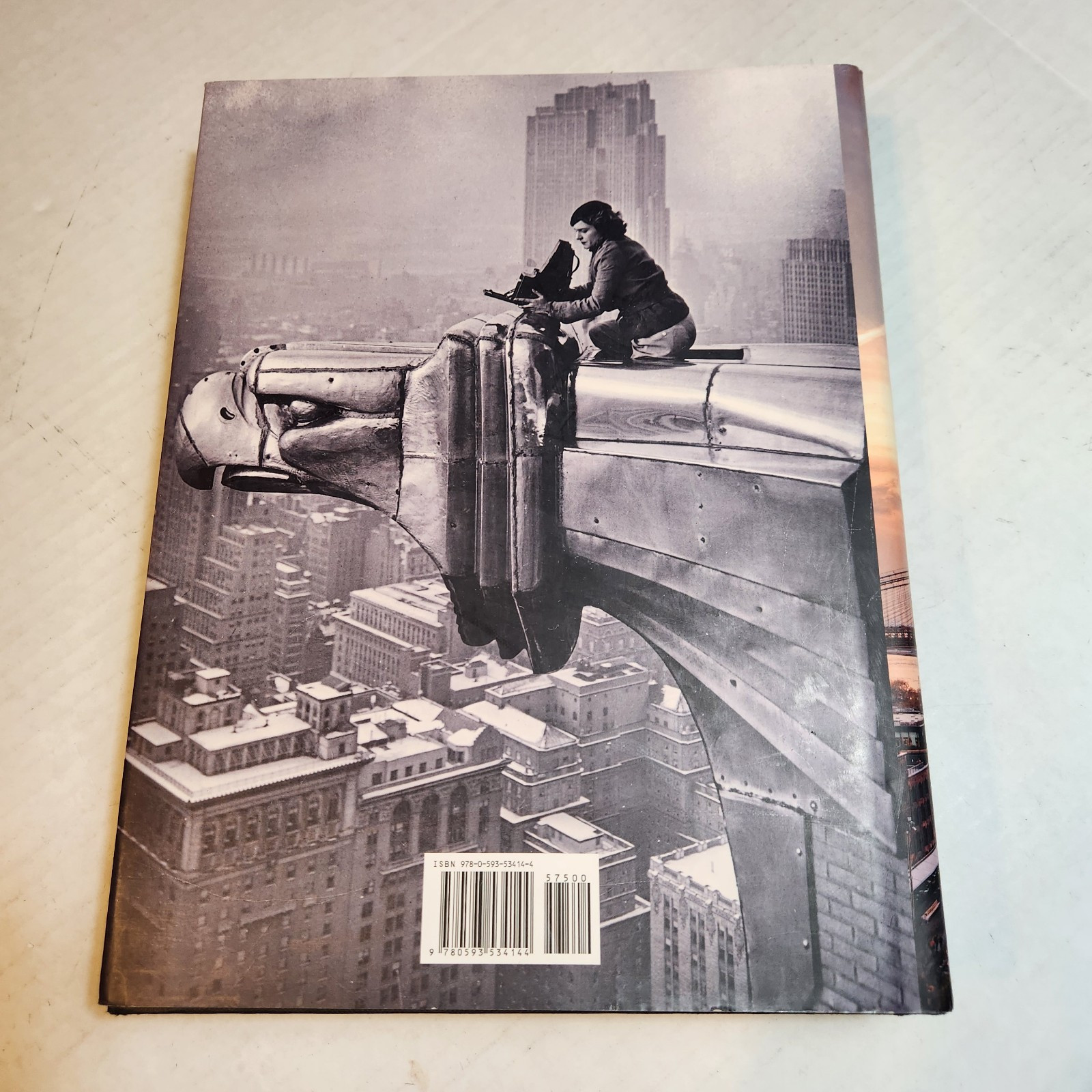 New York: An Illustrated History Hardcover