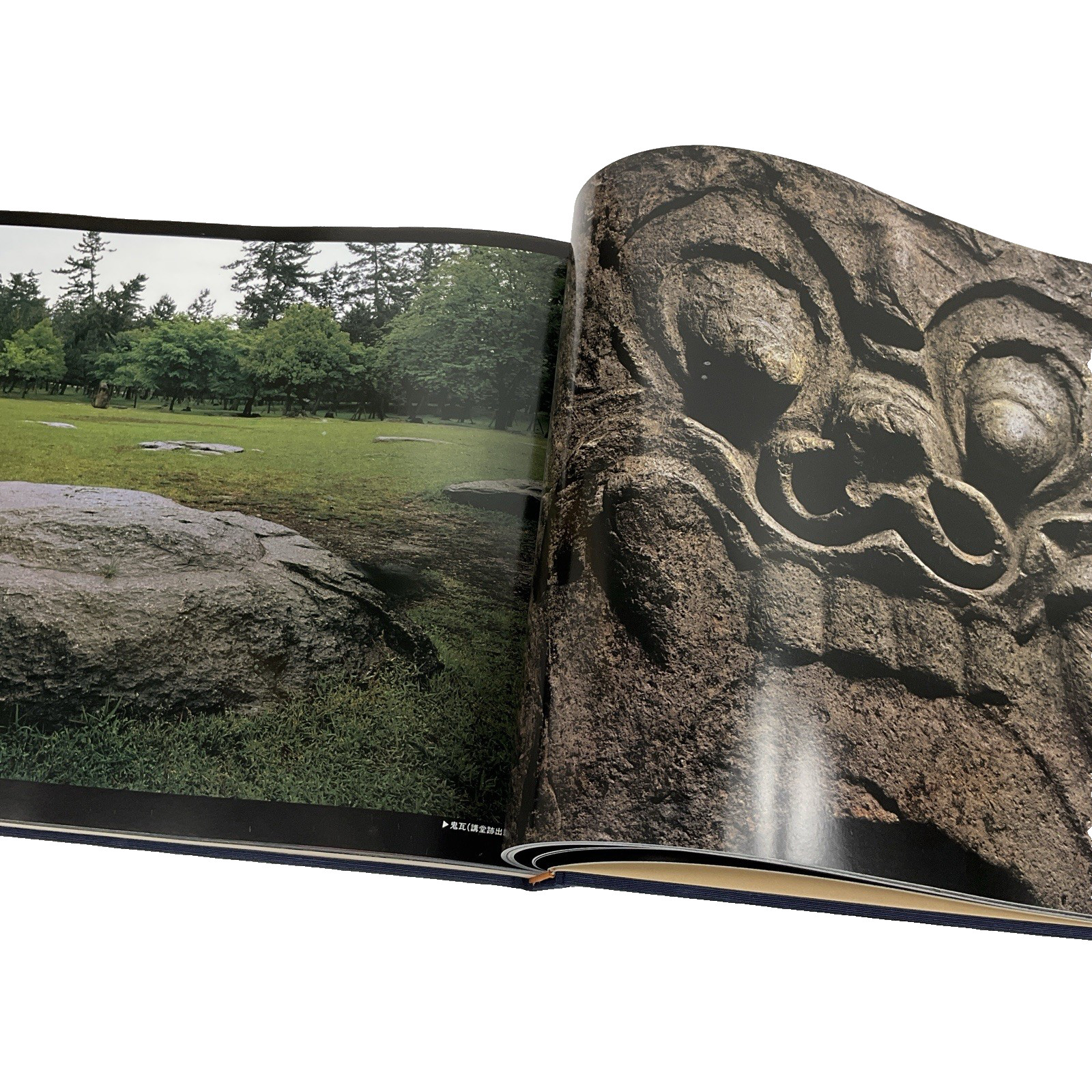 東大寺 Todaiji Temple Nara Japan Photo Book Hakudo Inoue Kokuhou Photography VTG
