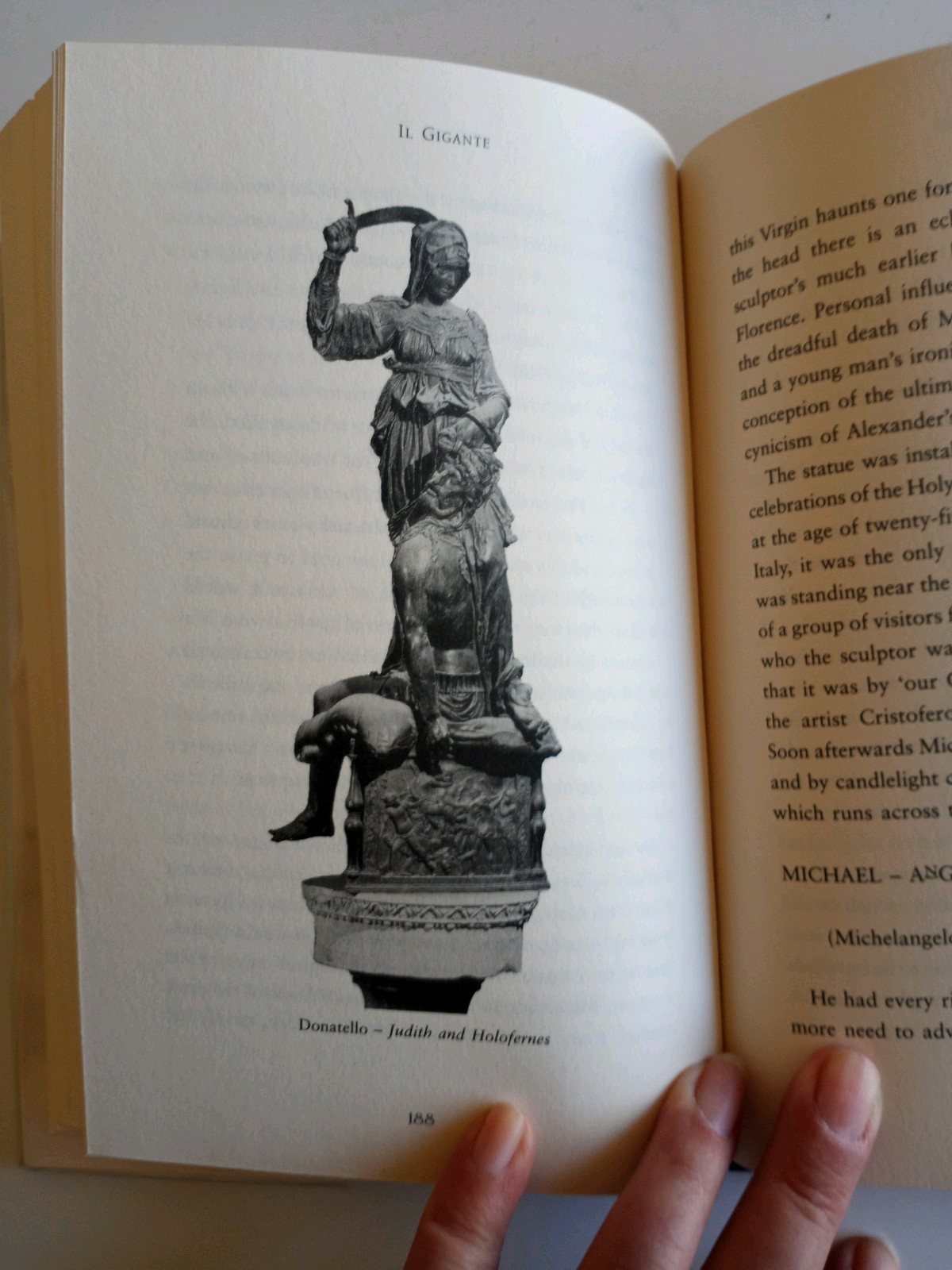 I1 Gigante, Michelangelo, Florence And The David, By Anton Gill, Hardback 1st US
