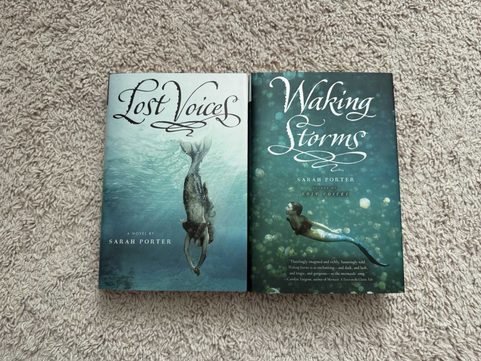 Lost Voices Series Lost Voices & Waking Storms by Sarah Porter Hardcover Set