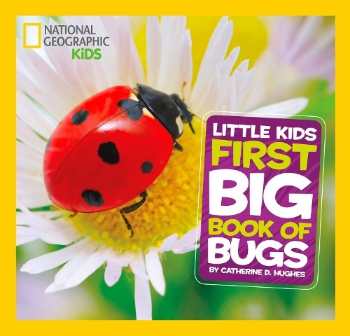 Catherine D. Hughes Little Kids First Big Book of Bugs (Hardback)