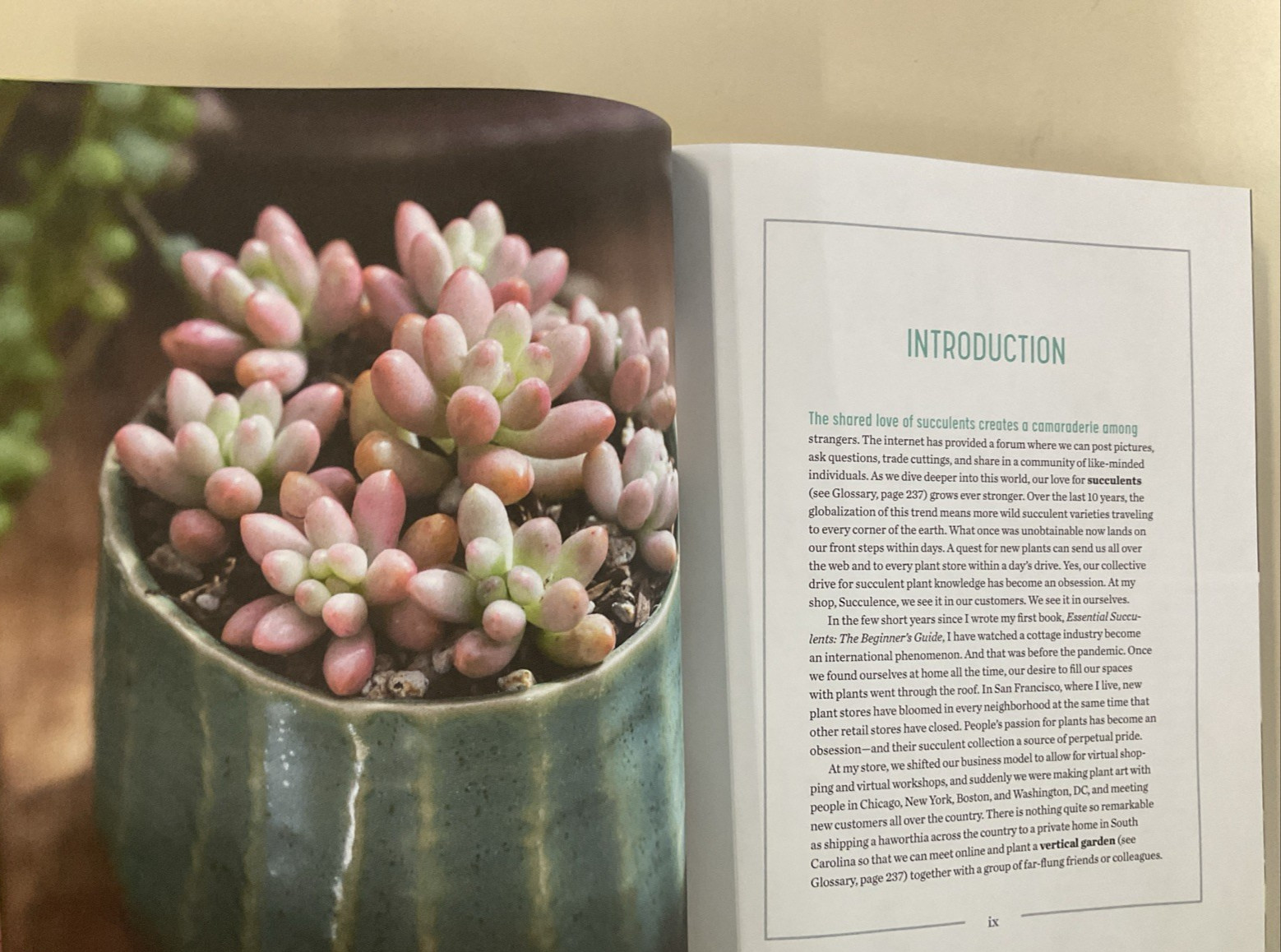 Succulent Obsession Complete Guide by Ken Shelf HC 2022 Rockridge Press