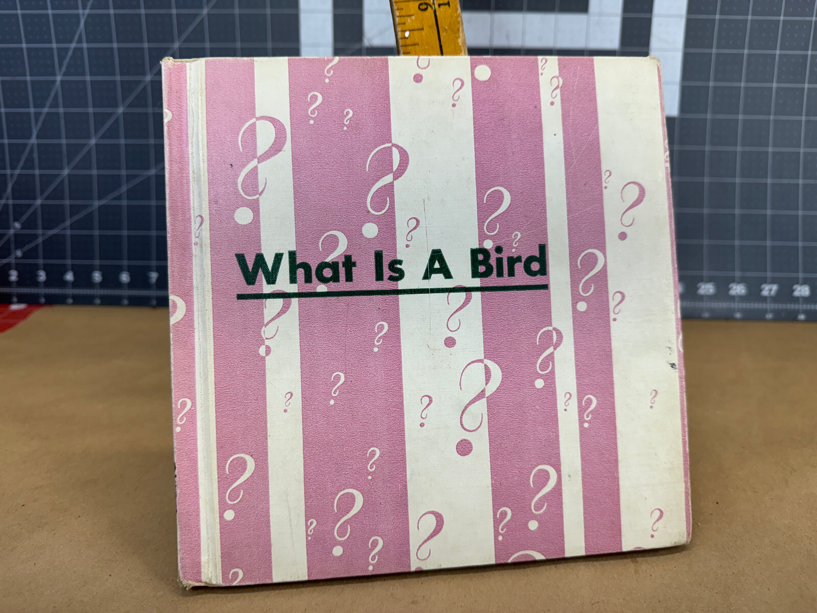 What is A Bird (The What is it series) 1960 Gene Darby Vtg Childrens book b