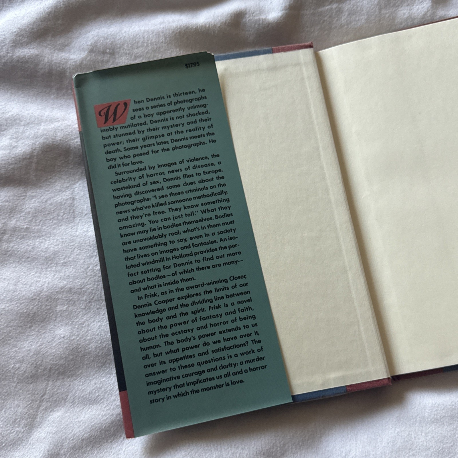 Frisk : A Novel by Dennis Cooper (1991, Hardcover) 1st Edition Weidenfeld Grove