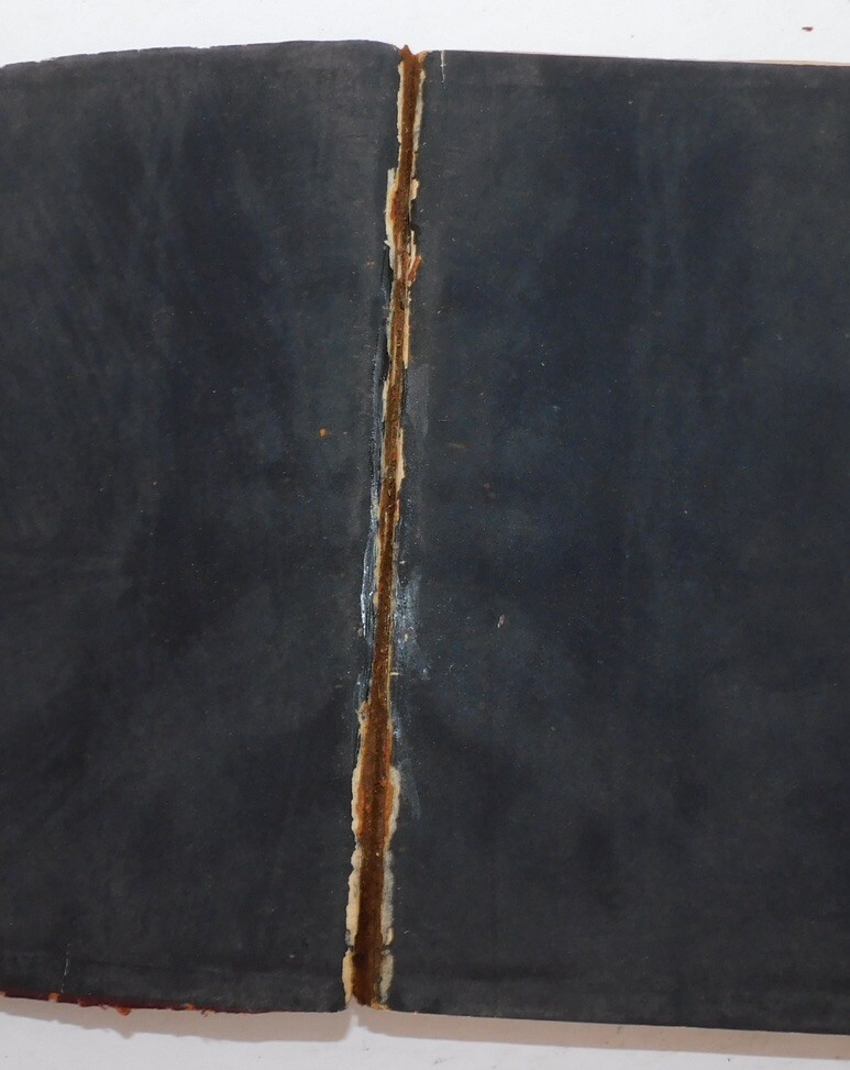 1890s HC Book The Magic Skin & The Unknown (Hidden) Masterpiece-Honore De Balzac