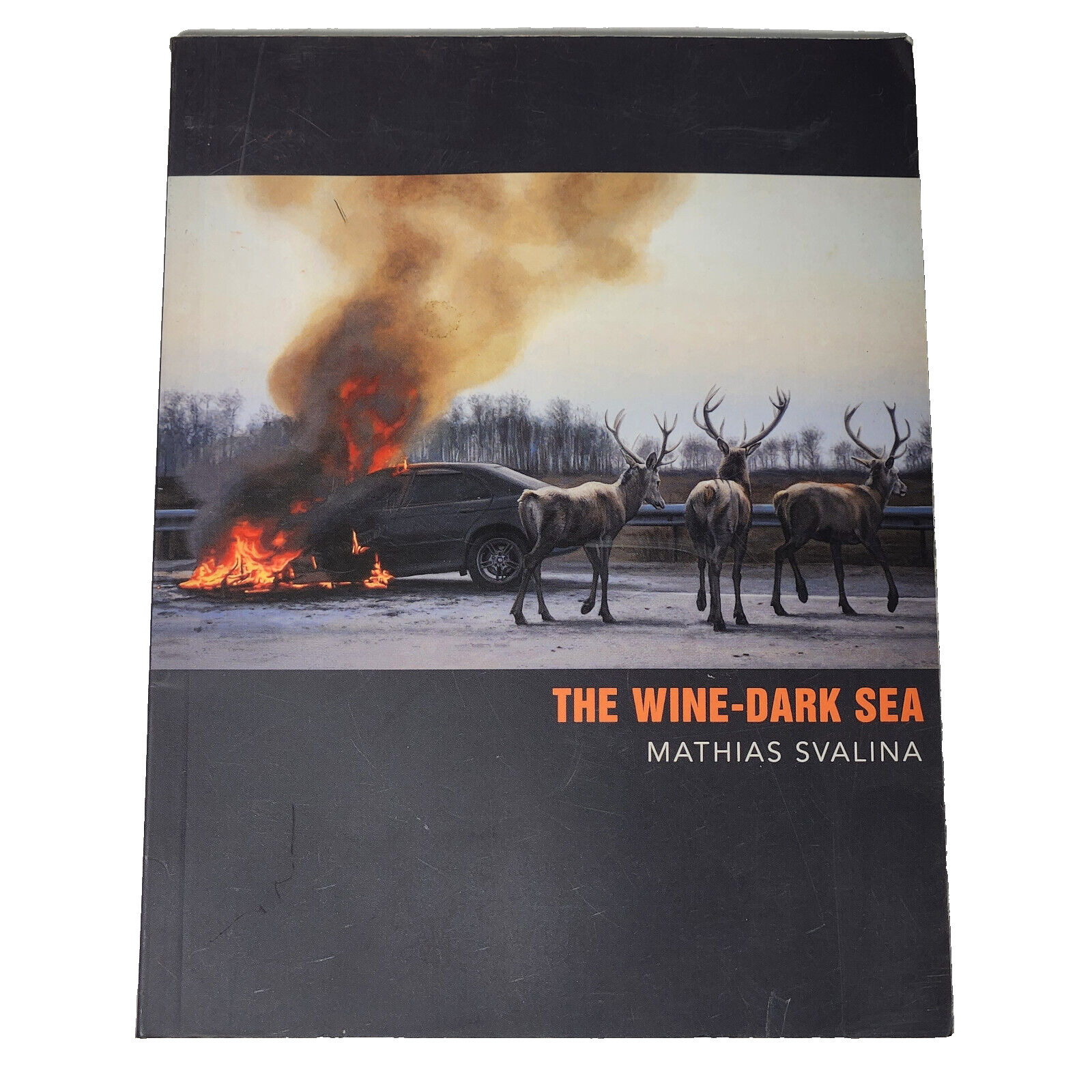 THE WINE-DARK SEA By Mathias Svalina Paperback 2016 Sidebrow Books 1st Ed 1st Pr