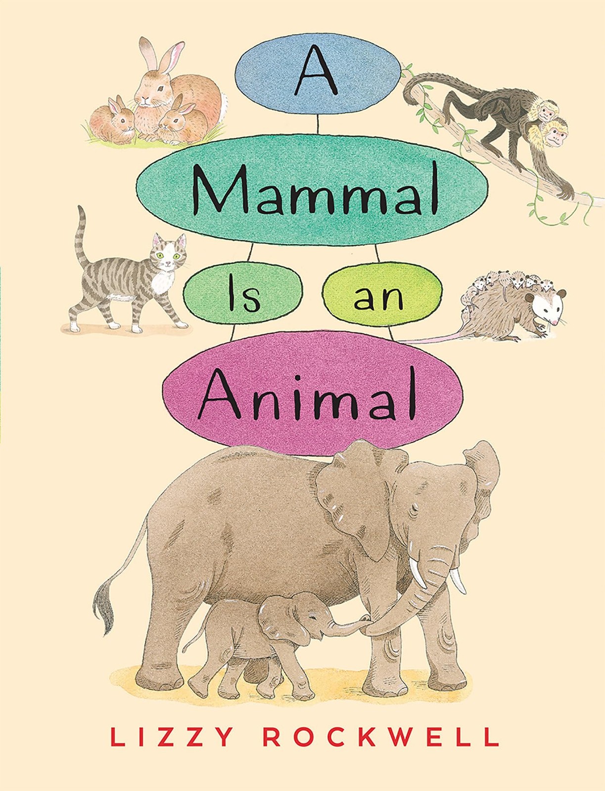 A Mammal is an Animal – hardcover Rockwell, Lizzy