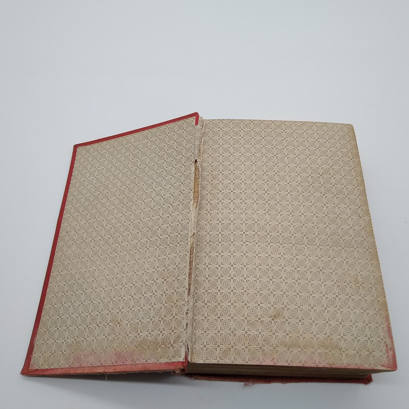 MADELINE PAYNE, THE DETECTIVES DAUGHTER by Lawrence L. Lynch 1885 HC Rare