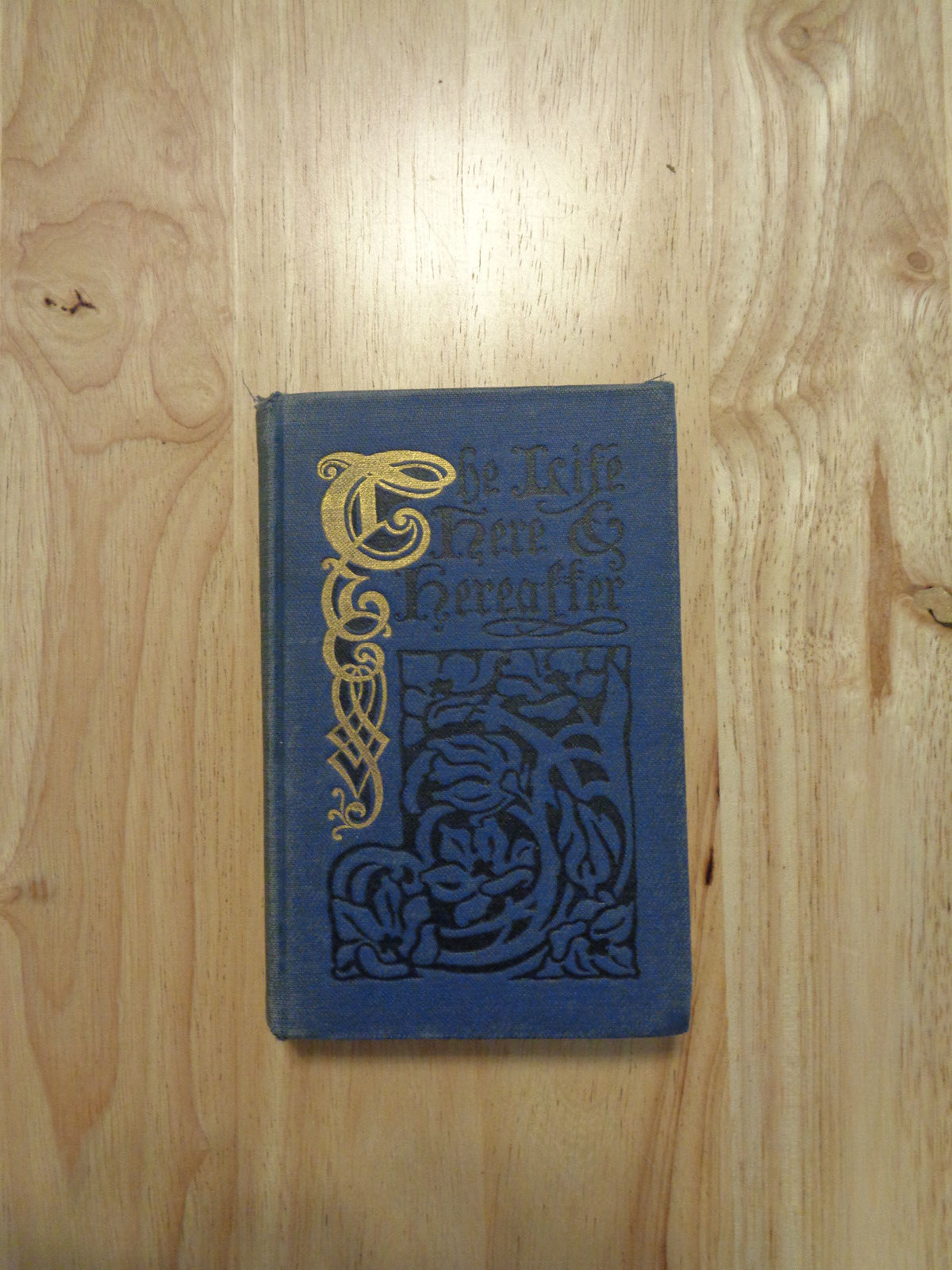 Life Here And Hereafter by Elizabeth Waterhouse 1907 HC