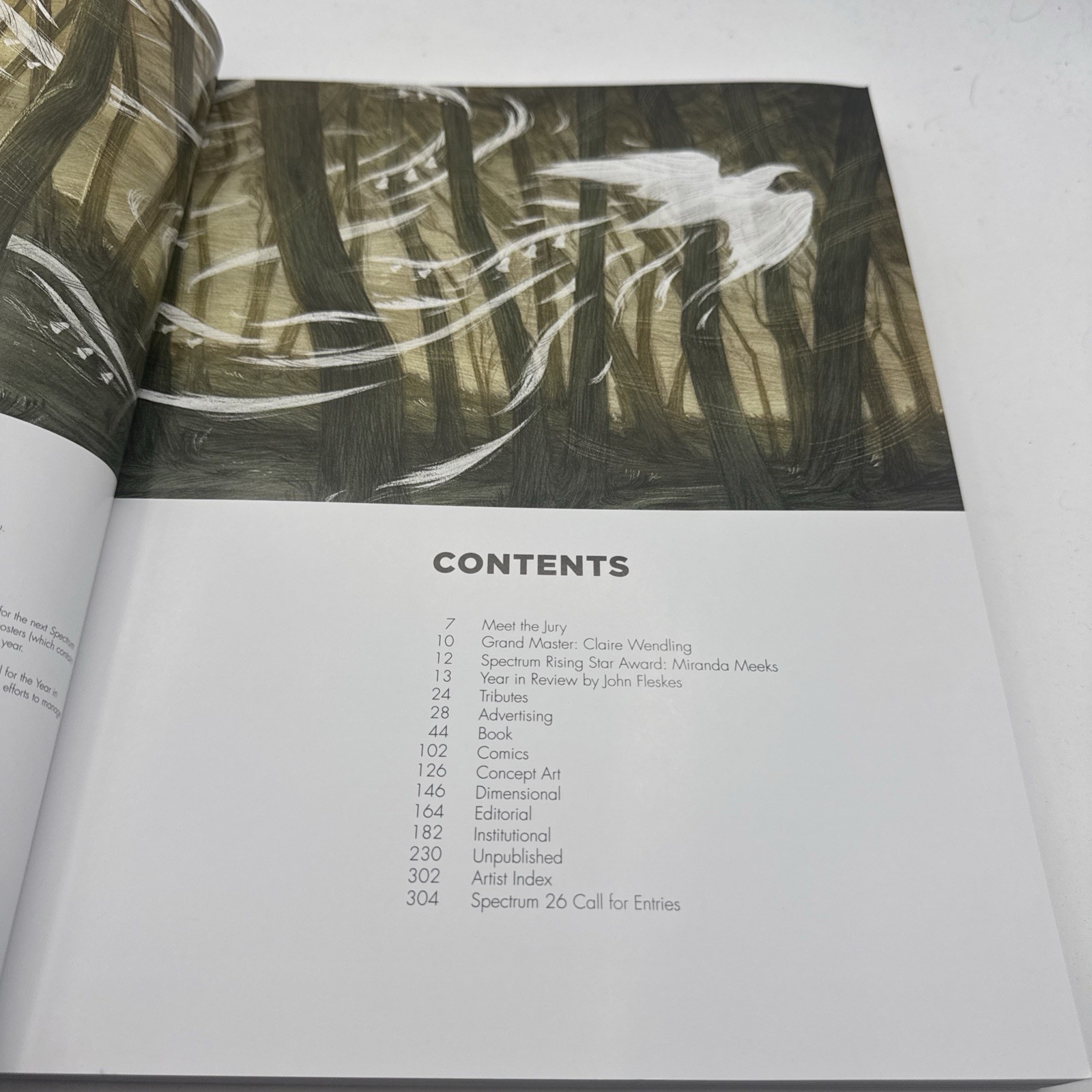 Spectrum 25: The Best in Contemporary Fantastic Art, Soft Cover Very Good Book