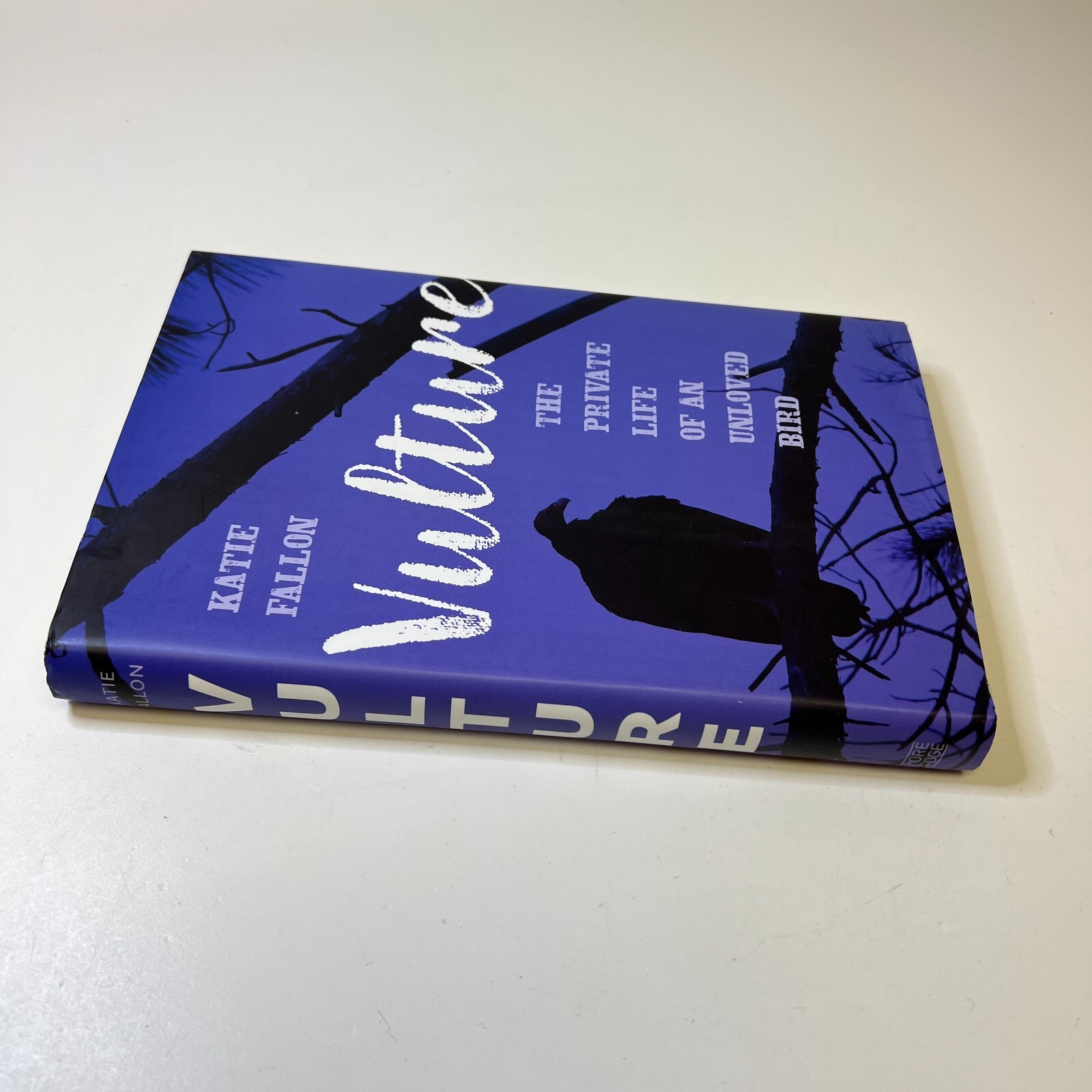 Vulture The Private Life of an Unloved Bird Hardcover Katie Fal
