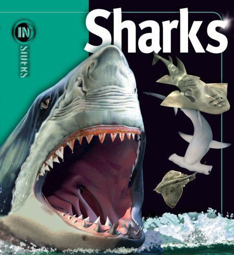 Sharks; Insiders – Beverly McMillan, 1416938672, hardcover