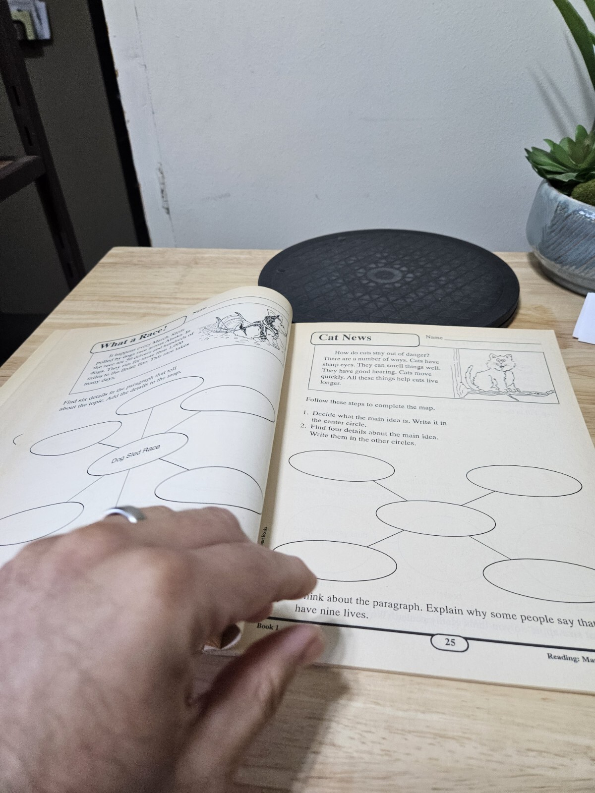 READING MAPPING FOR MEANING 71 GRAPHIC ORGANIZERS FOR By Linda Ward Beech