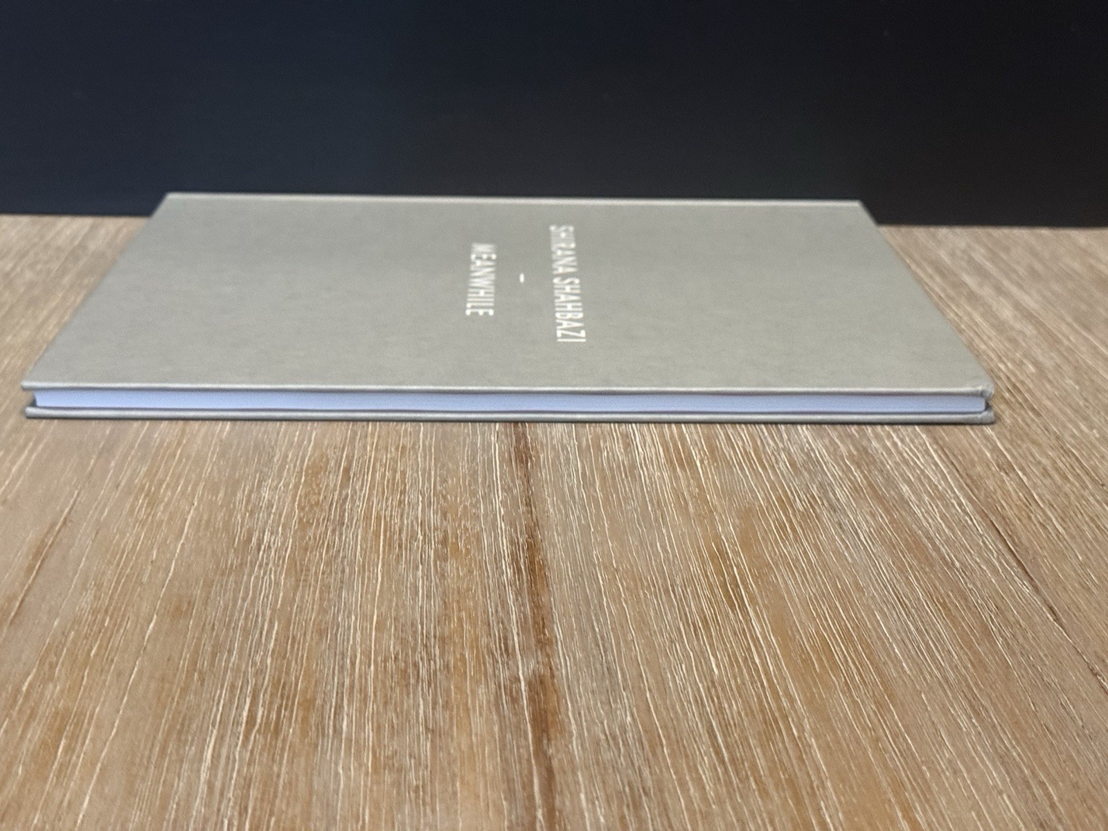 Shirana Shahbazi: Meanwhile by Shirana Shahbazi 2008 Hardcover / DJ